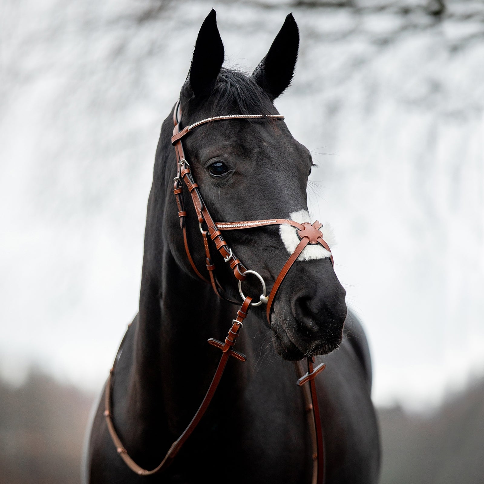 Horze Valencia Mexican Bridle Bridles & Reins