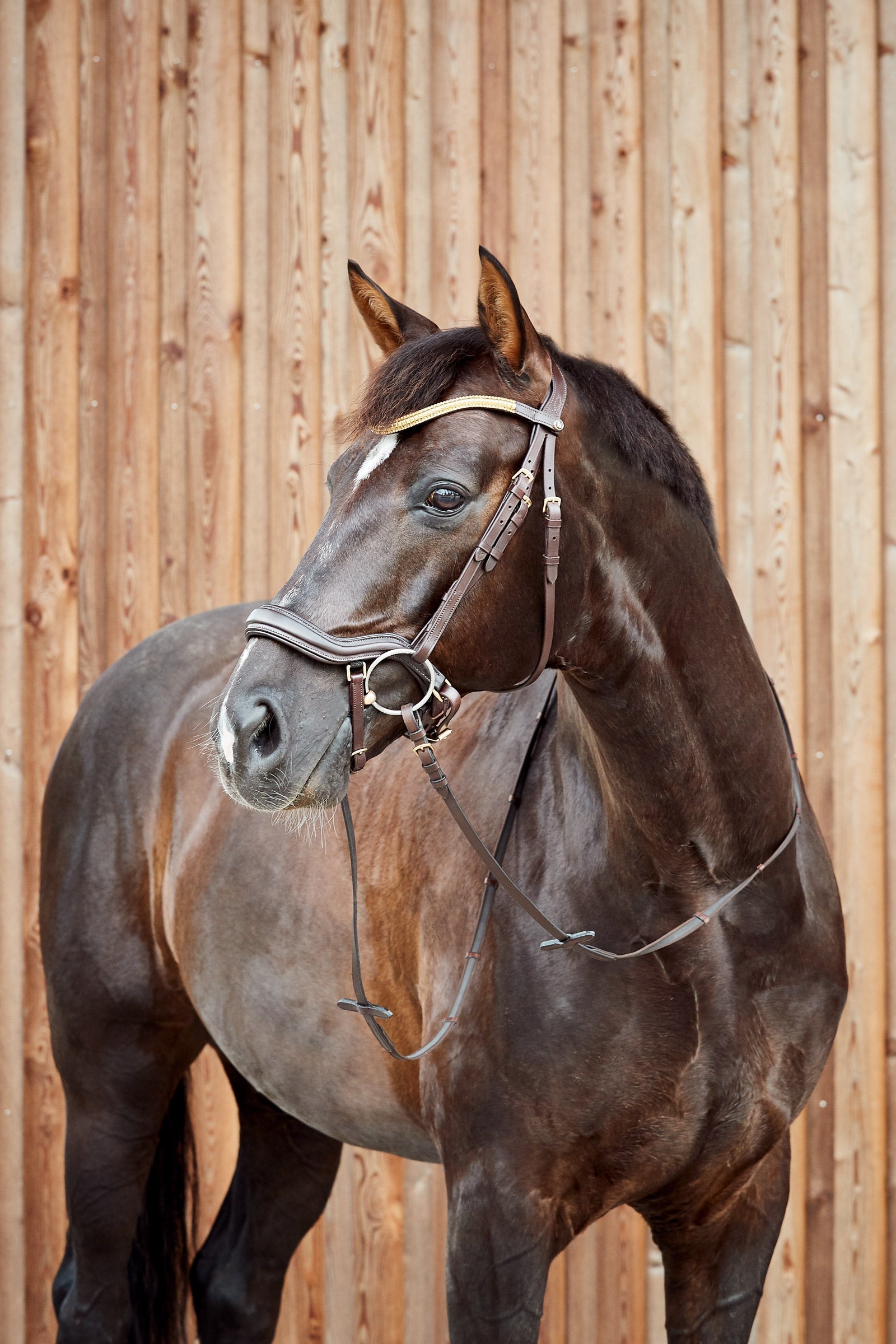 Horze Highbury Anatomic Bridle with Crystal Brow Band Bridles & Reins