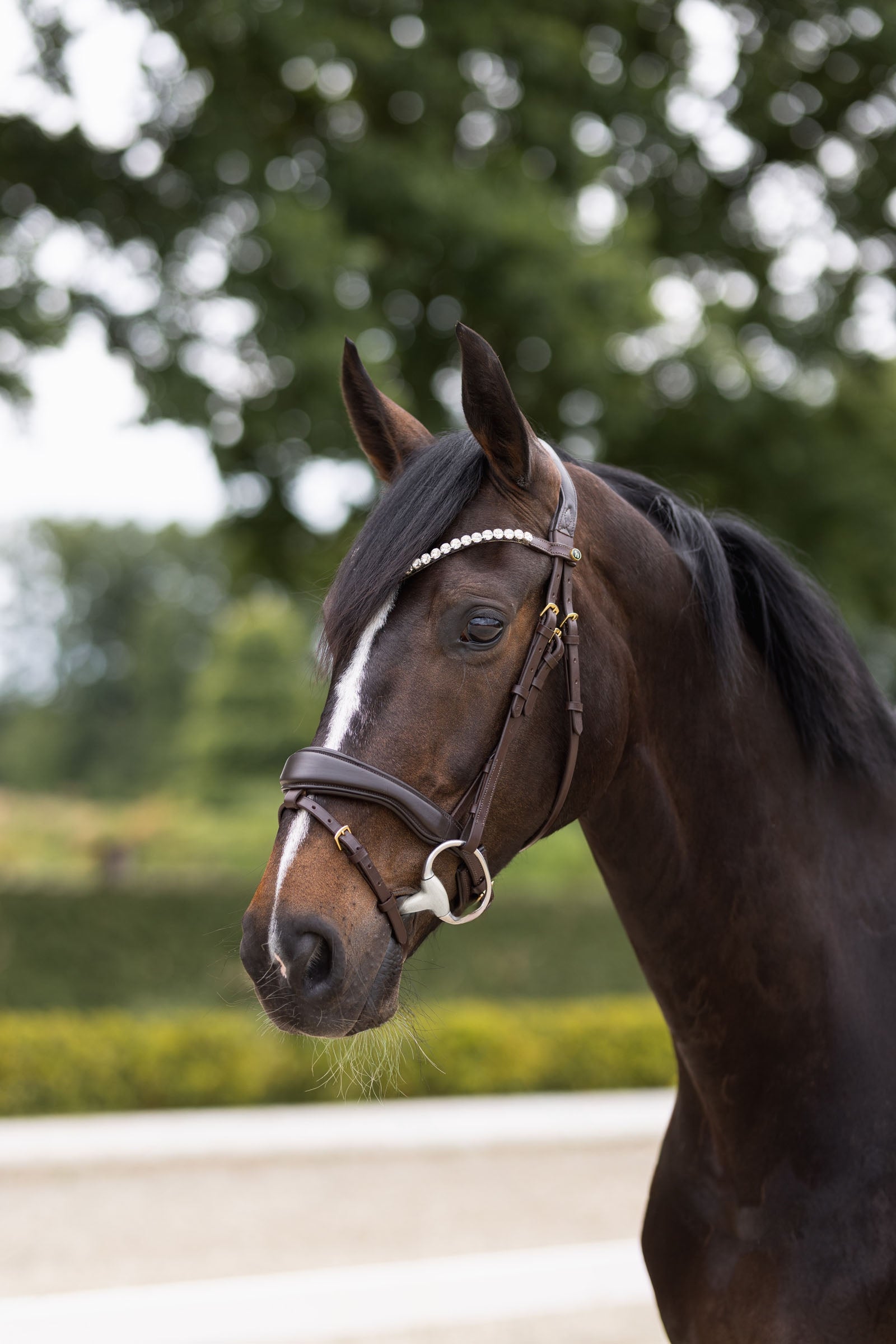 Horze Somerset Anatomic Bridle Bridles & Reins