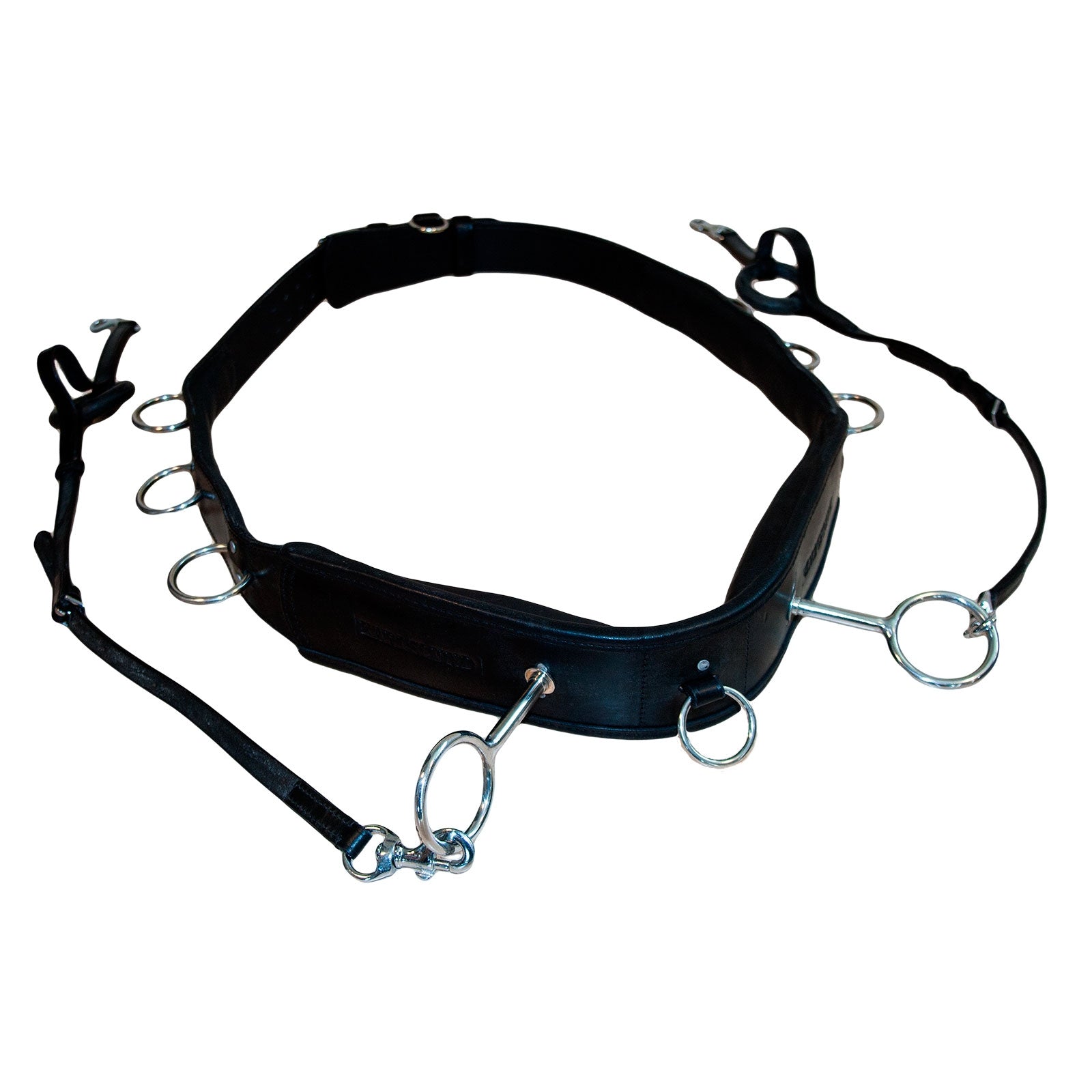 Karlslund Longeringsgjord Longering & Hjelpetøyler