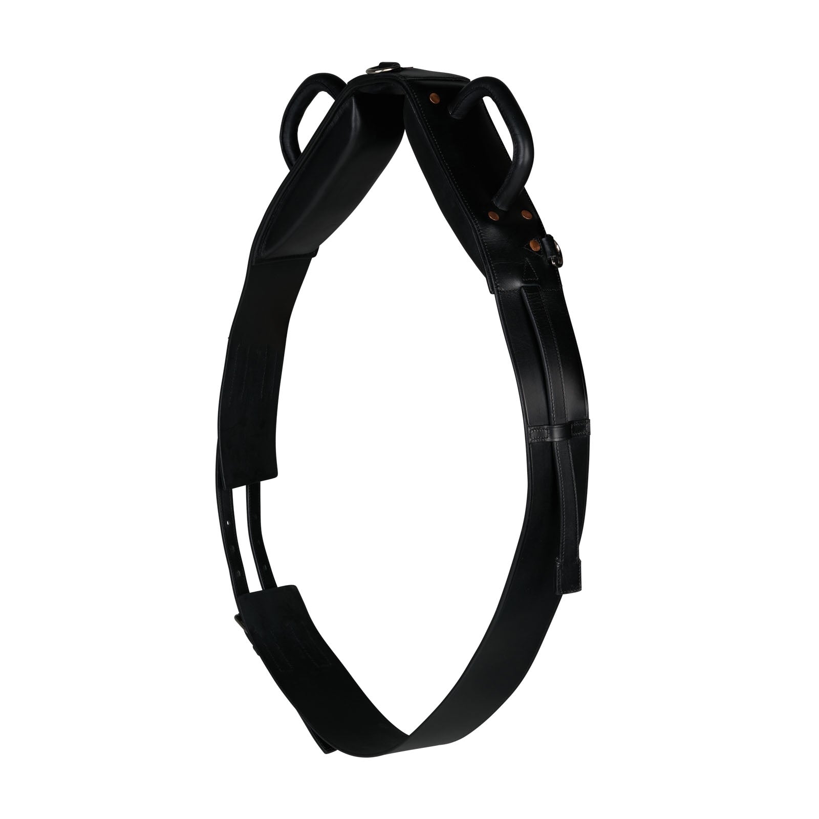 Horze voltigegjord Longering & Hjelpetøyler