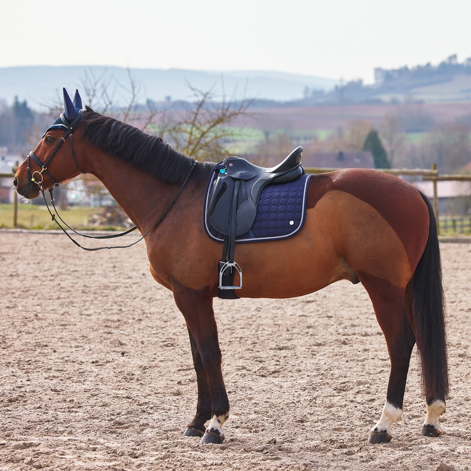 B Vertigo Zurich Dressage Saddle Pad Saddle Pads
