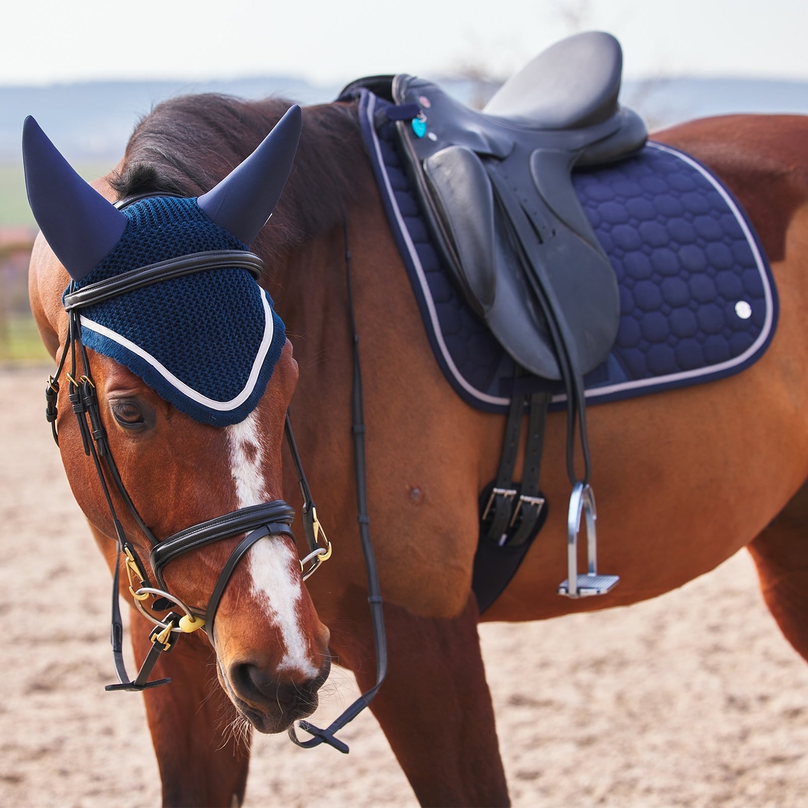 B Vertigo Zurich Dressage Saddle Pad Saddle Pads