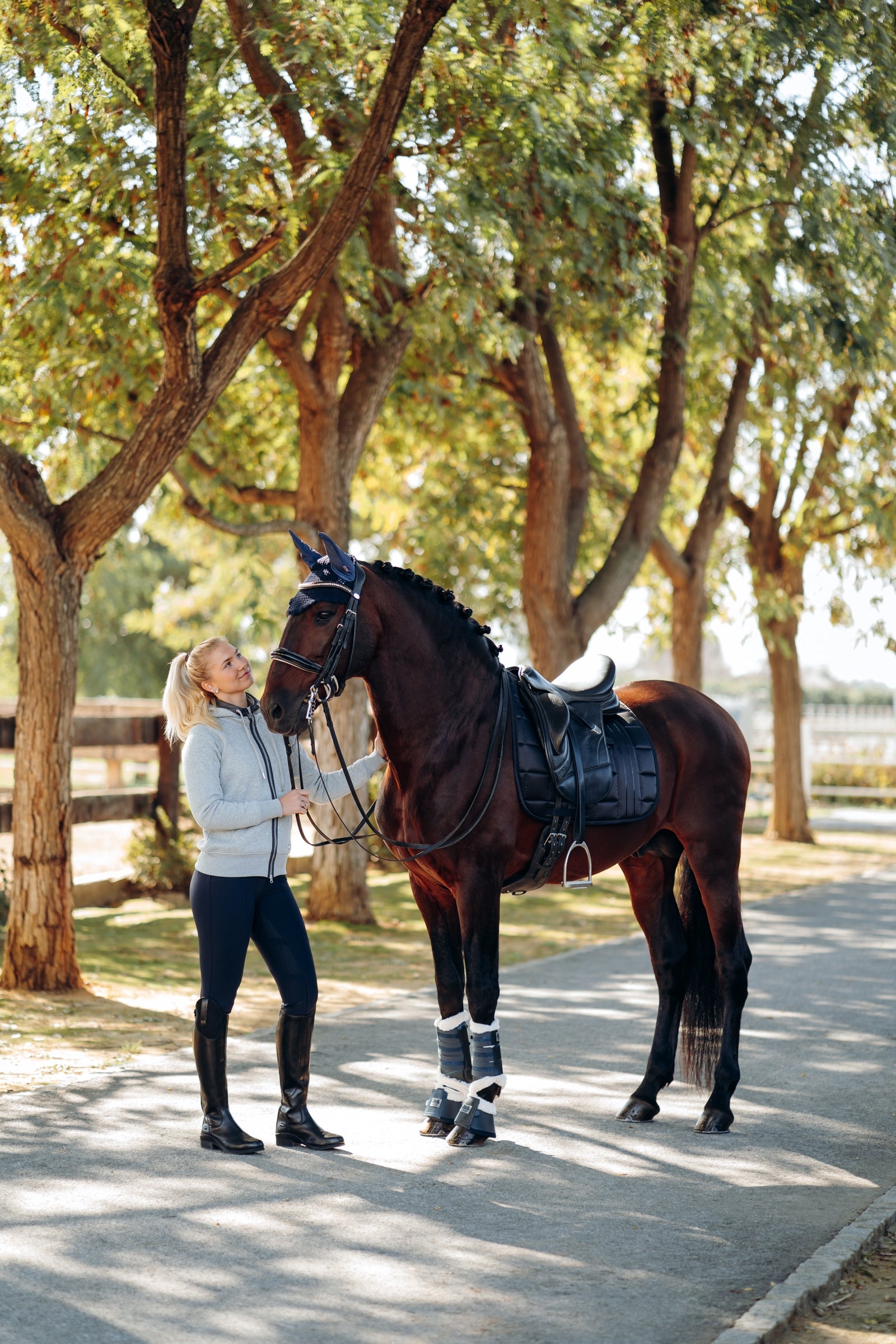 B Vertigo Drew Dressage Saddle Pad Saddle Pads