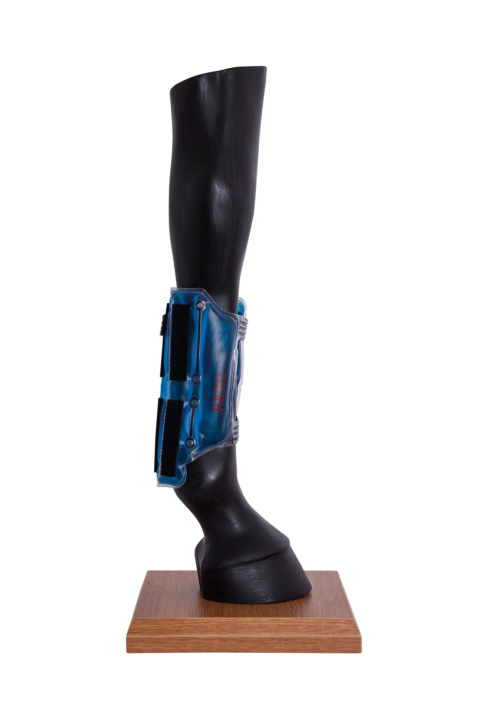Stassek Equitherm Wrap med borrelås Leg Protection & Hoof Protection for Horses