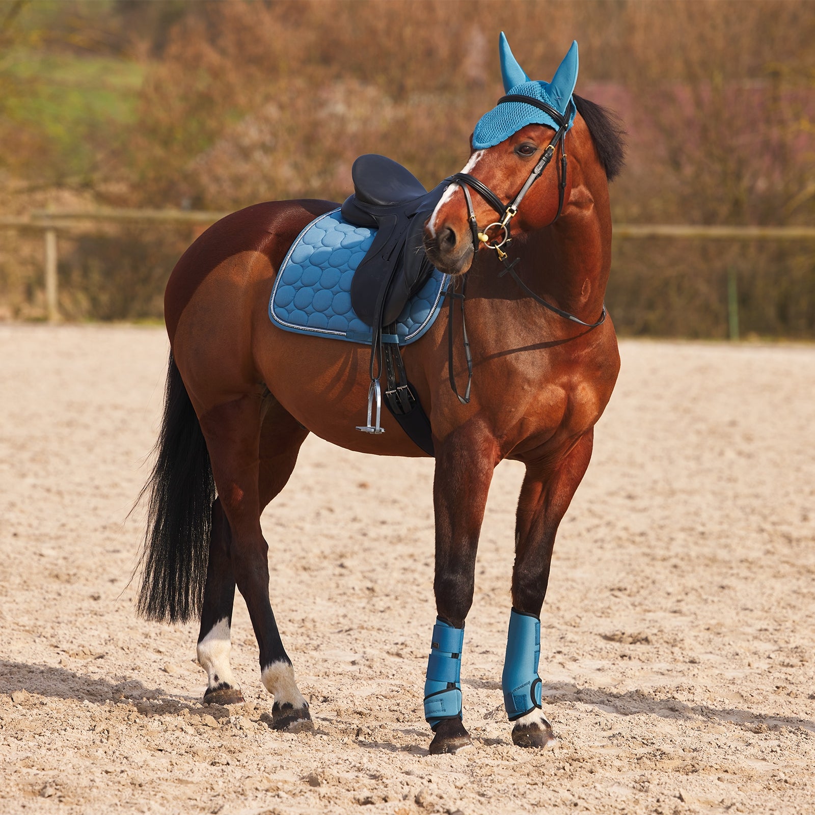 Horze Marquess Neoprene Brushing Boots Leg Protection & Hoof Protection for Horses