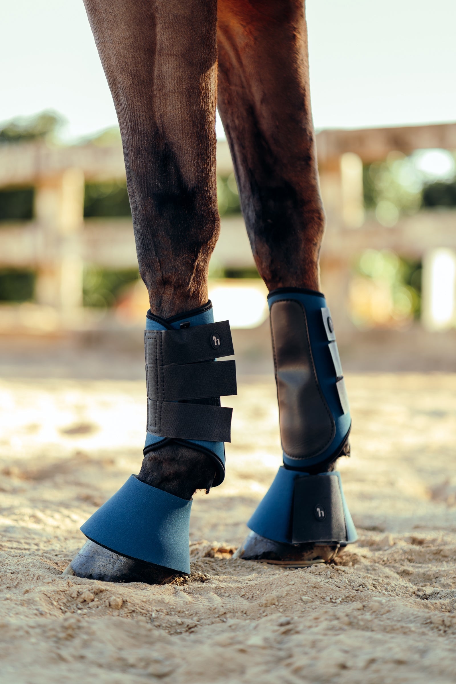 Horze Munich Brushing Boots Leg Protection & Hoof Protection for Horses