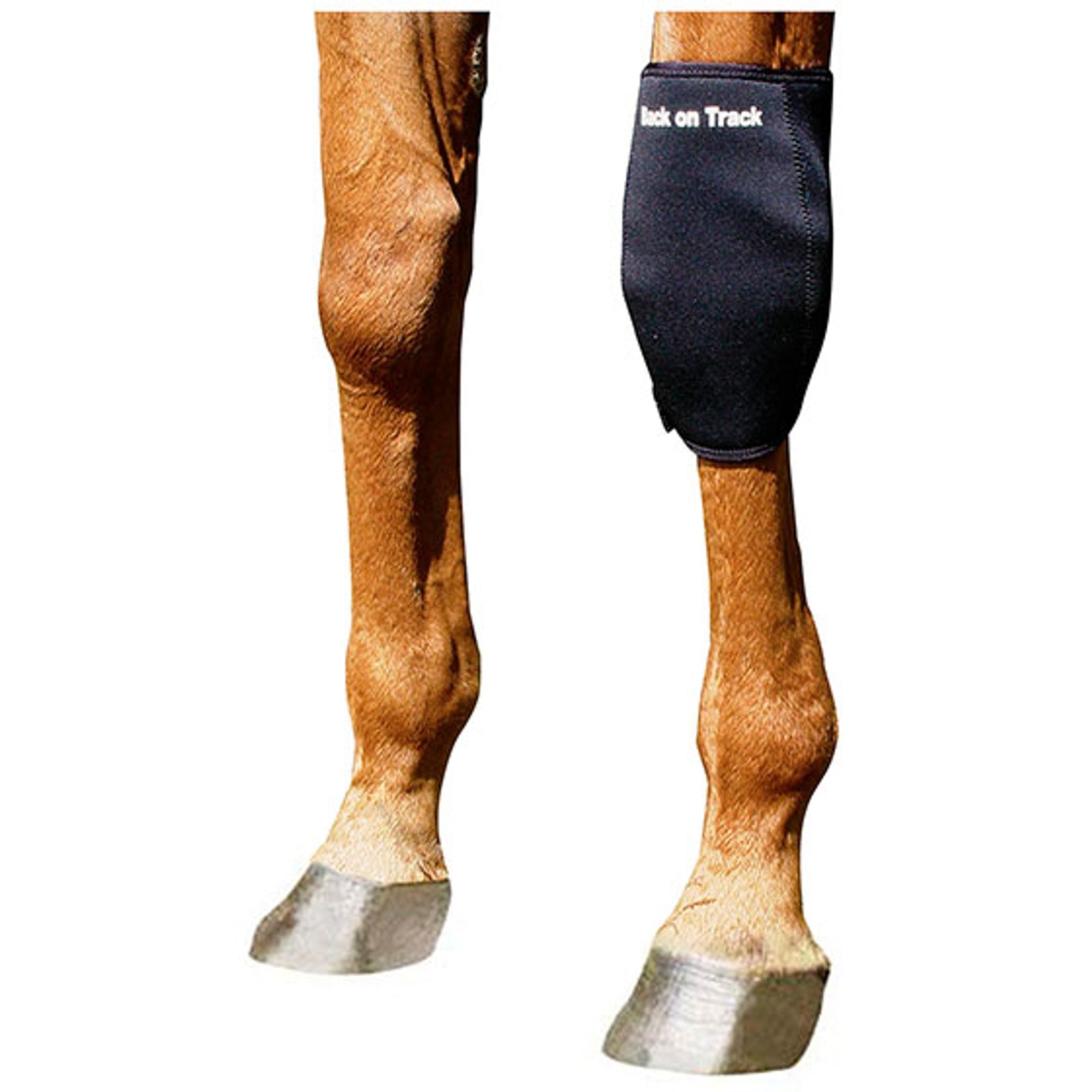 Back on Track Back On Track knebelegg, venstre Leg Protection & Hoof Protection for Horses