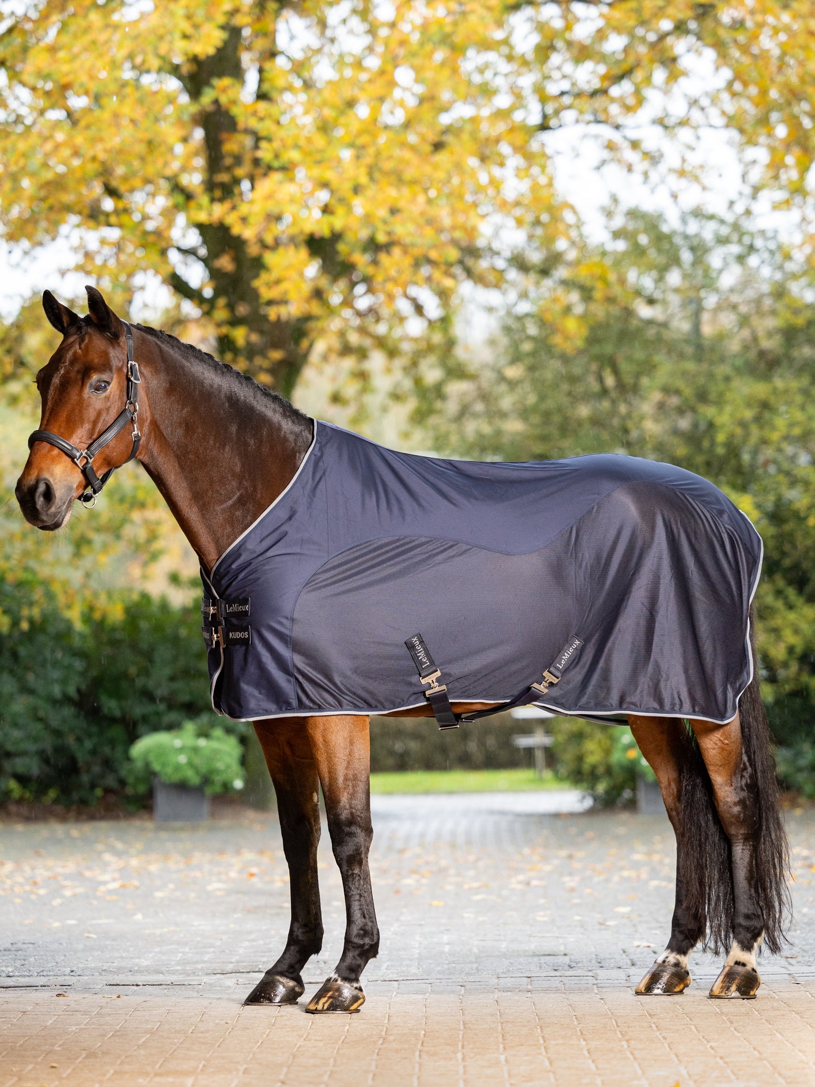 LeMieux Kudos Hybrid Cooler Dekken