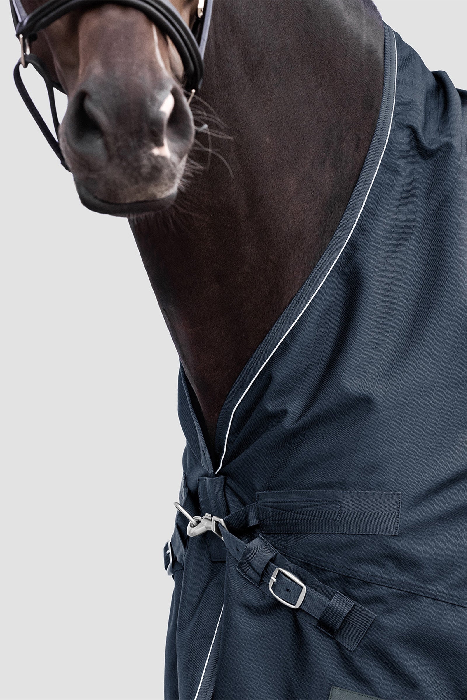 Waldhausen Outdoor Rug Scandic High Neck 100 g Horse Rugs