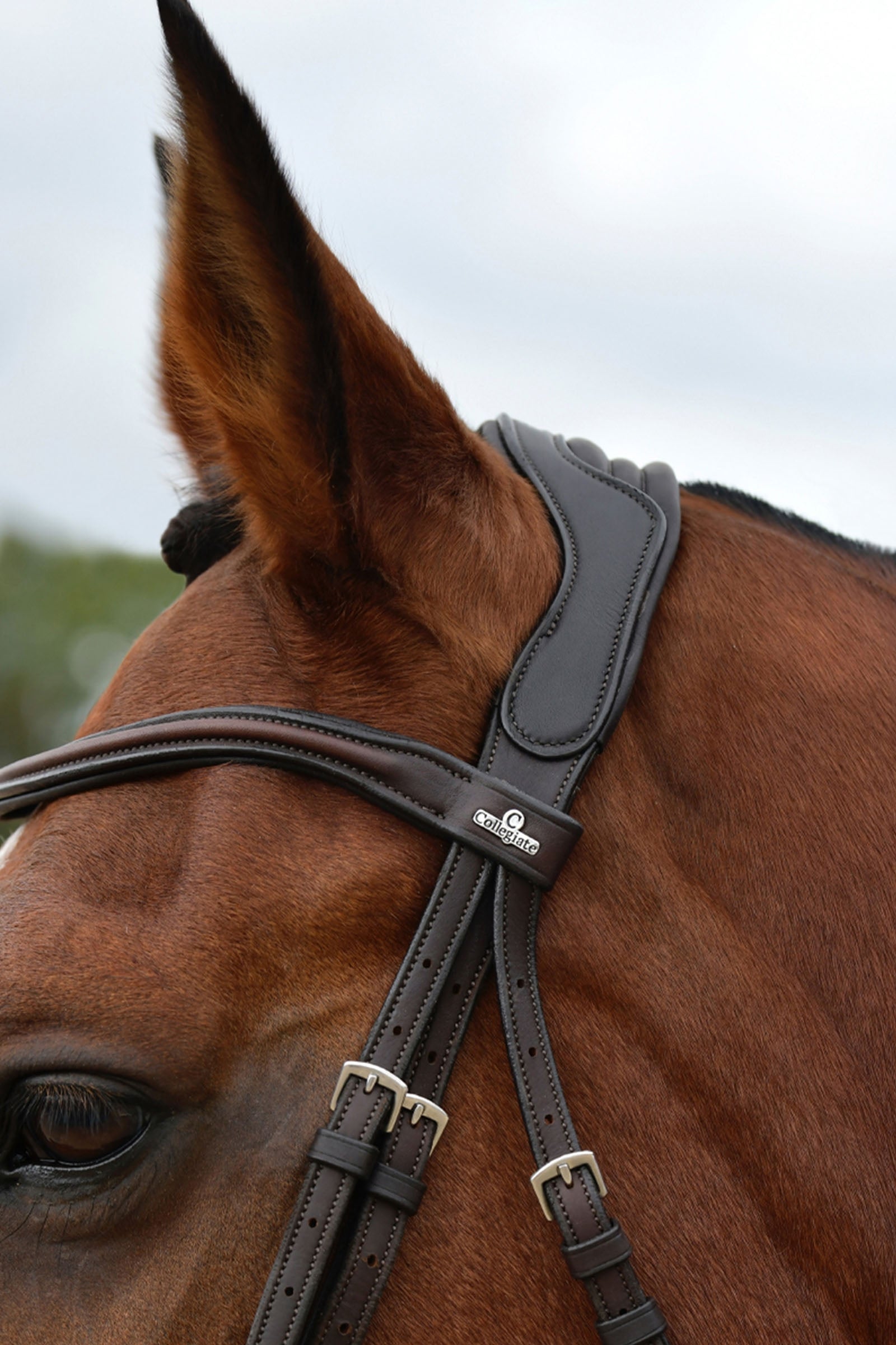 Collegiate Comfitec Opulux Plain Padded Grackle Bridle Bridles & Reins