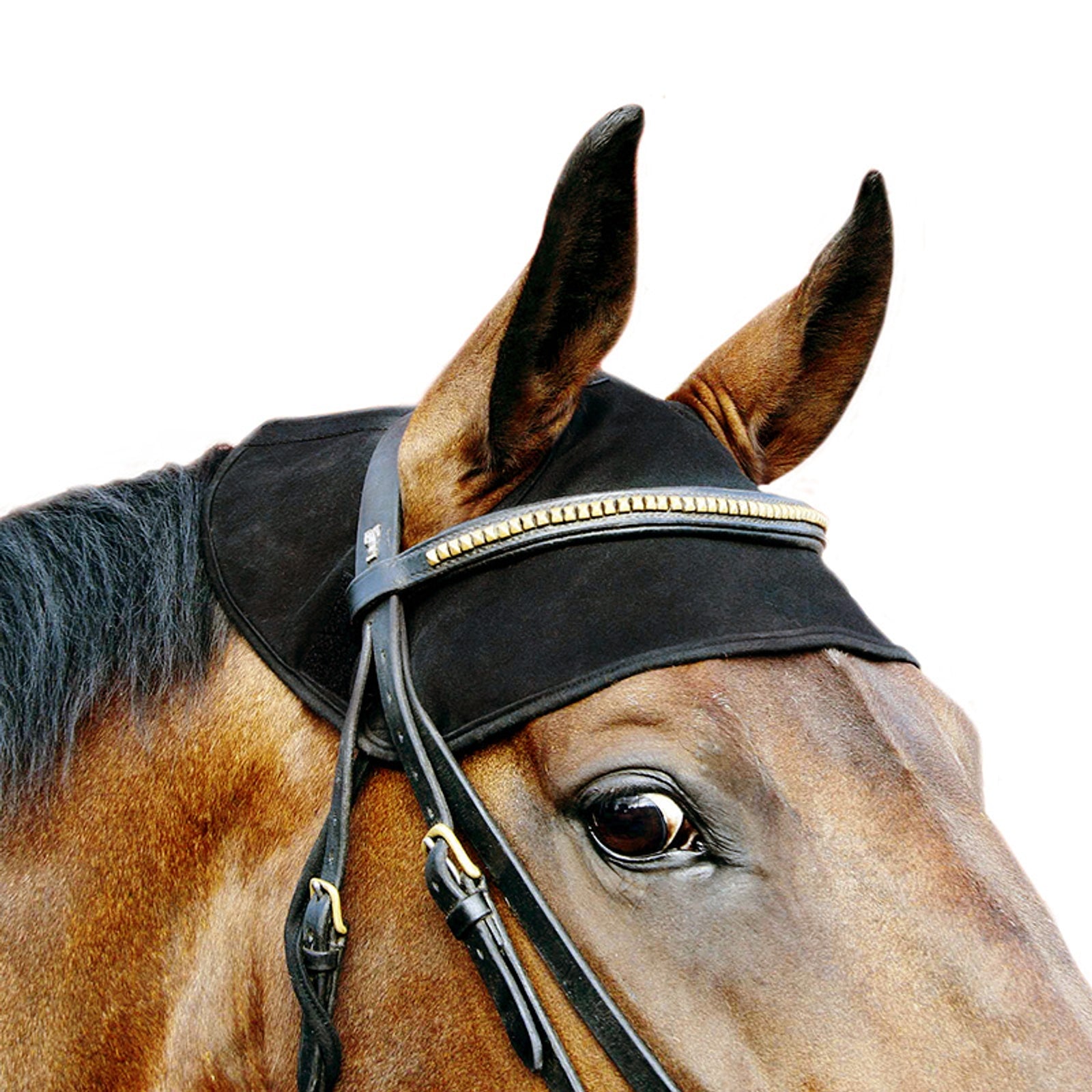 Back on Track nakkebeskytter til hest Fluebeskyttelse til hest