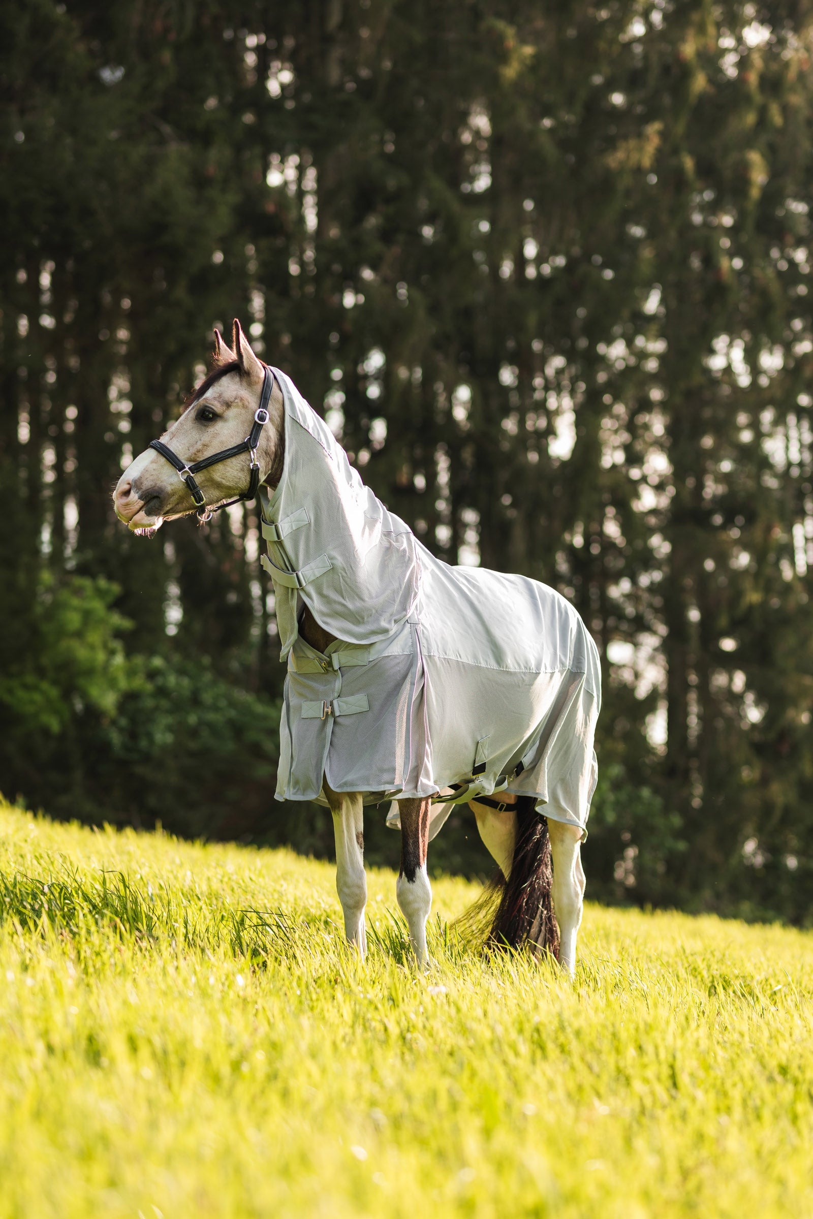 Horze Nevada Combo Shower/Fly Rug with Detachable Neck Horse Rugs