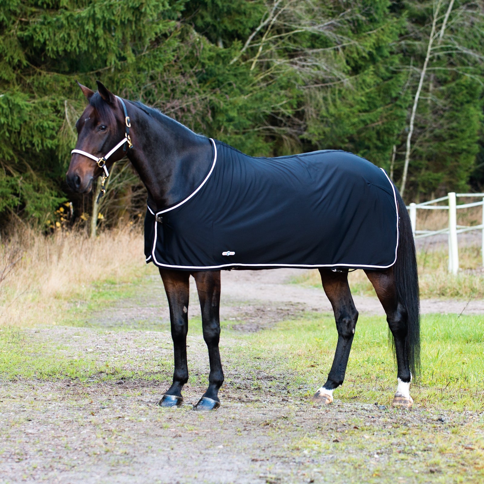 Finntack Pro Pritex Summer Rug Horse Rugs