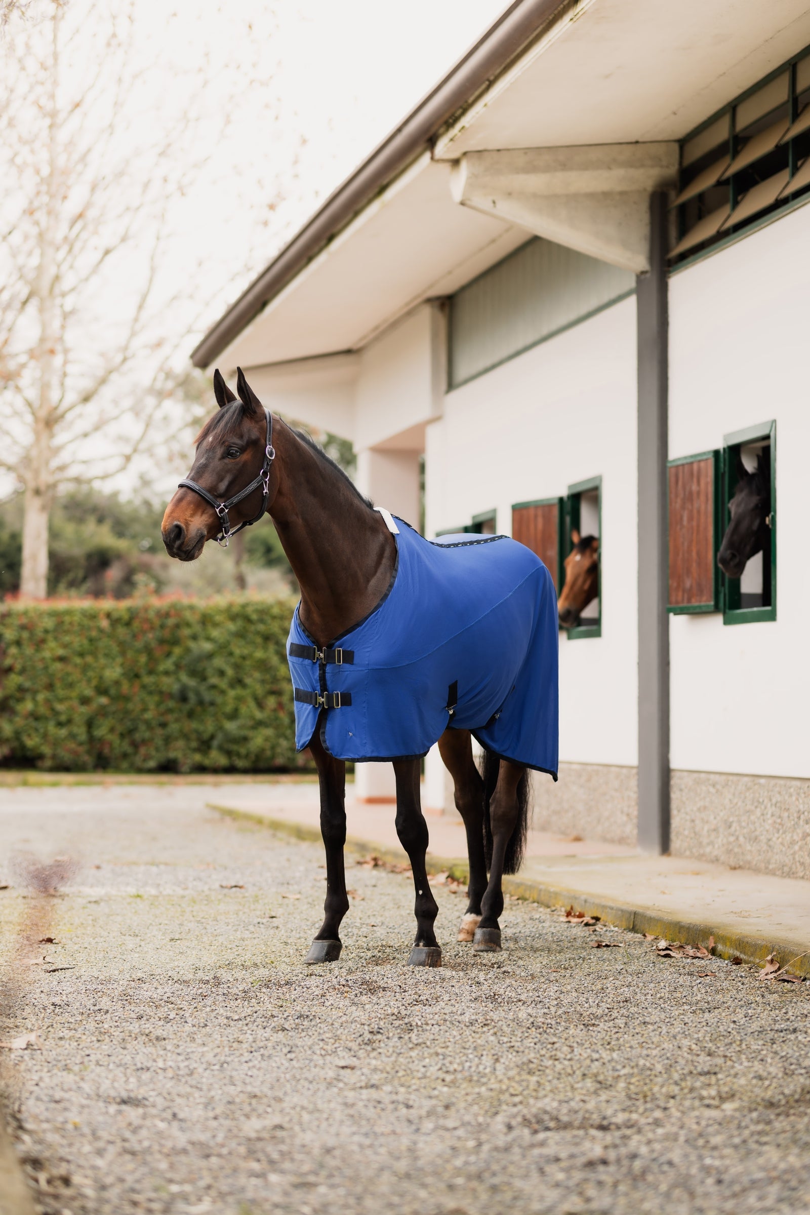 Horze Cooling Mesh Rug Horse Rugs