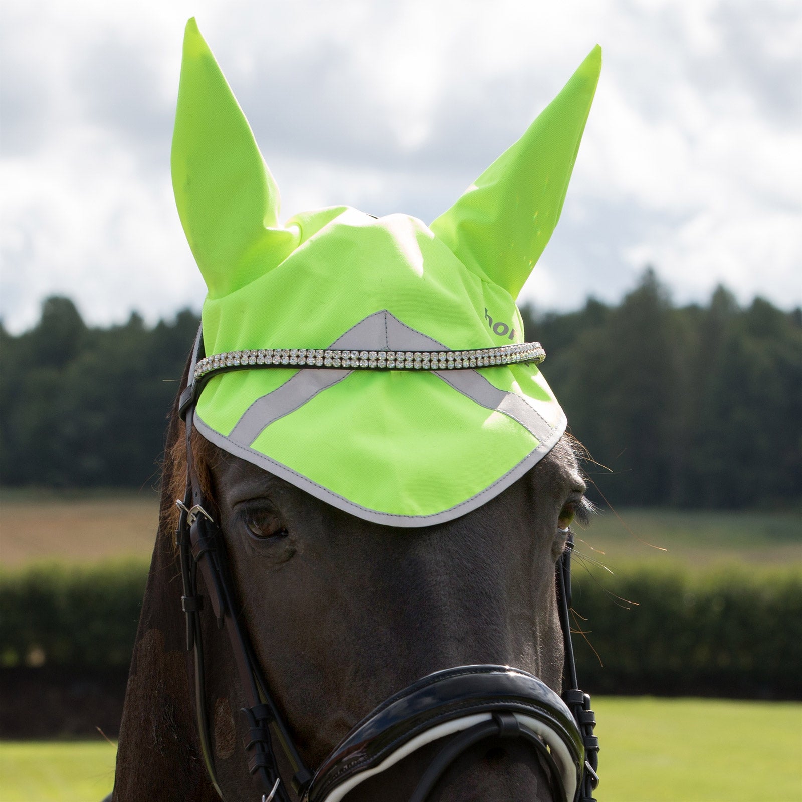 Horze Reflective Ear Net Reflective