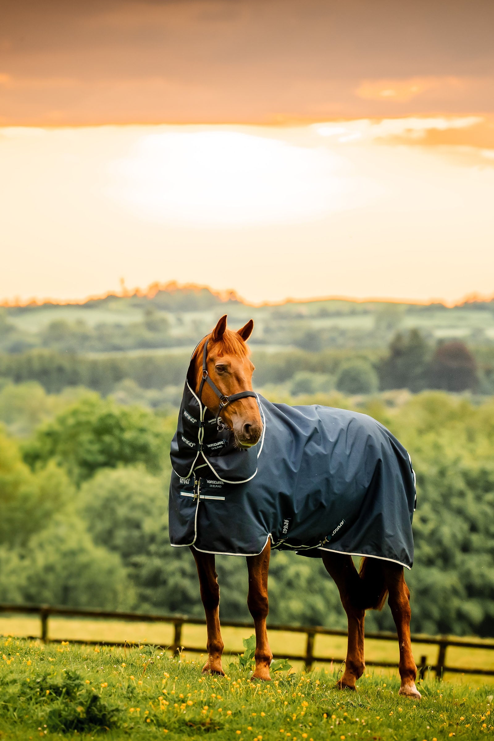 Horseware Amigo Ripstop 900D Plus utedekken med avtakbar halsdel, 100 g Dekken