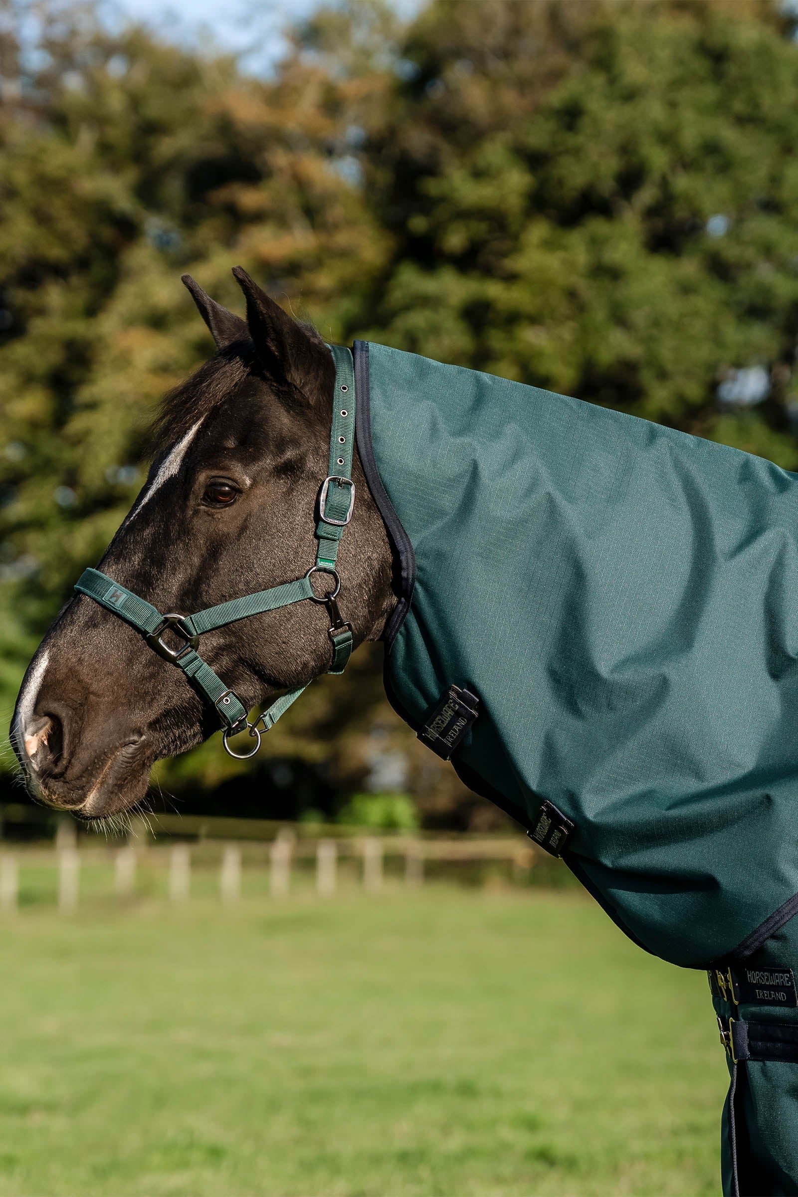 Horseware Amigo Ripstop 900D Plus Turnout Rug, 100 g Horse Rugs