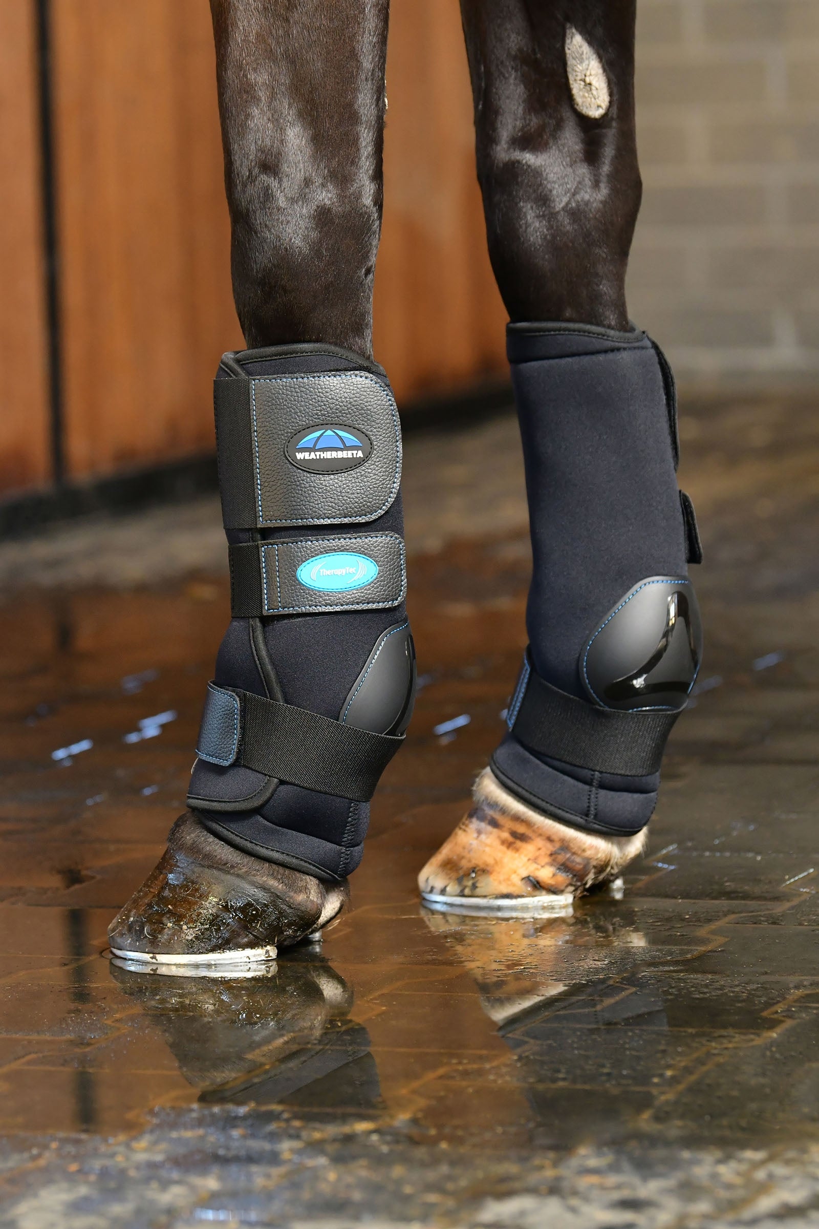 Weatherbeeta Therapy-Tec Ii Ultra Cool Ice Boots Leg Protection & Hoof Protection for Horses