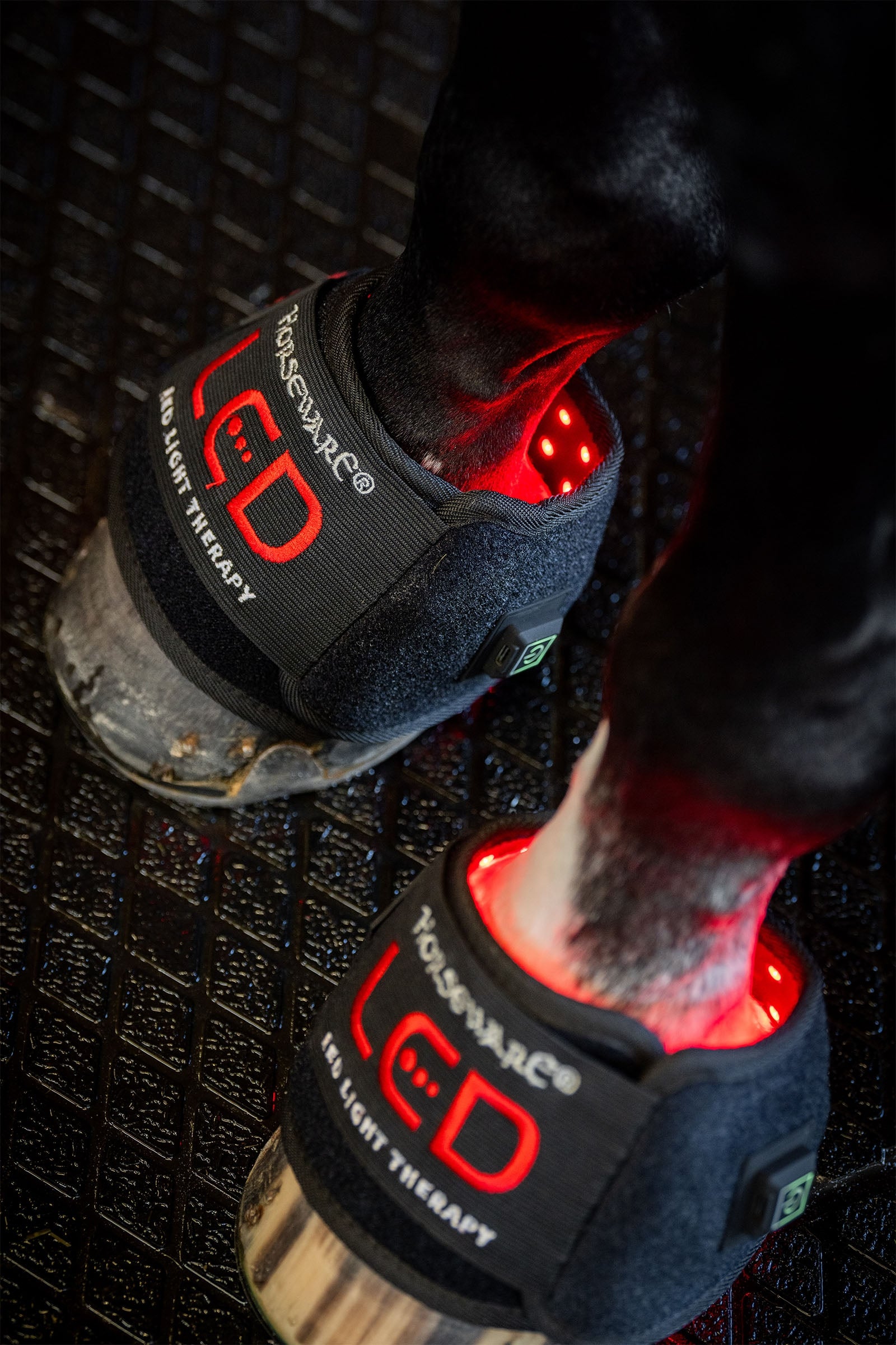 Horseware LED rødt lys terapi mini belegg (1 stk.) Leg Protection & Hoof Protection for Horses