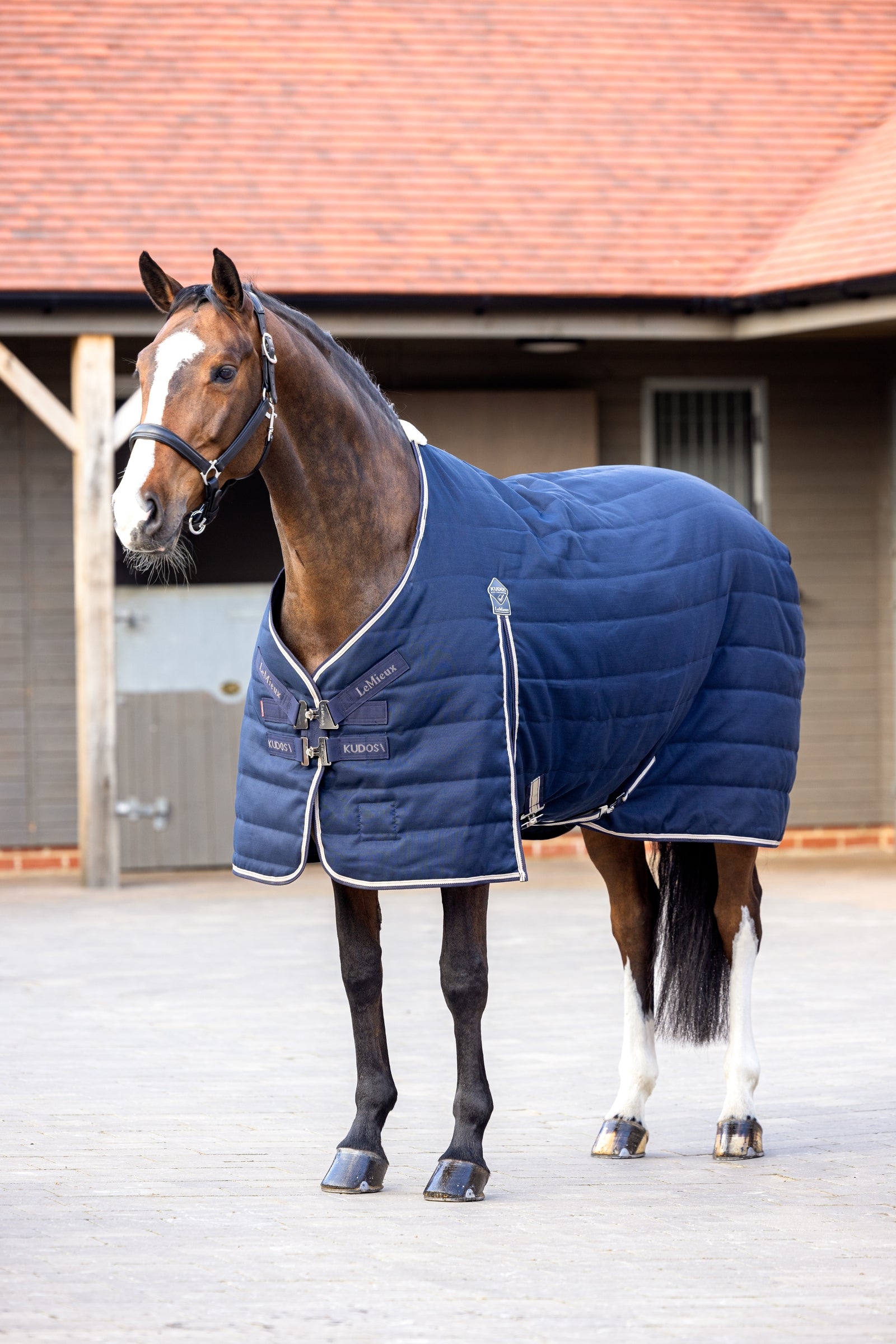 LeMieux Kudos Stable Rug, 100g Dekken