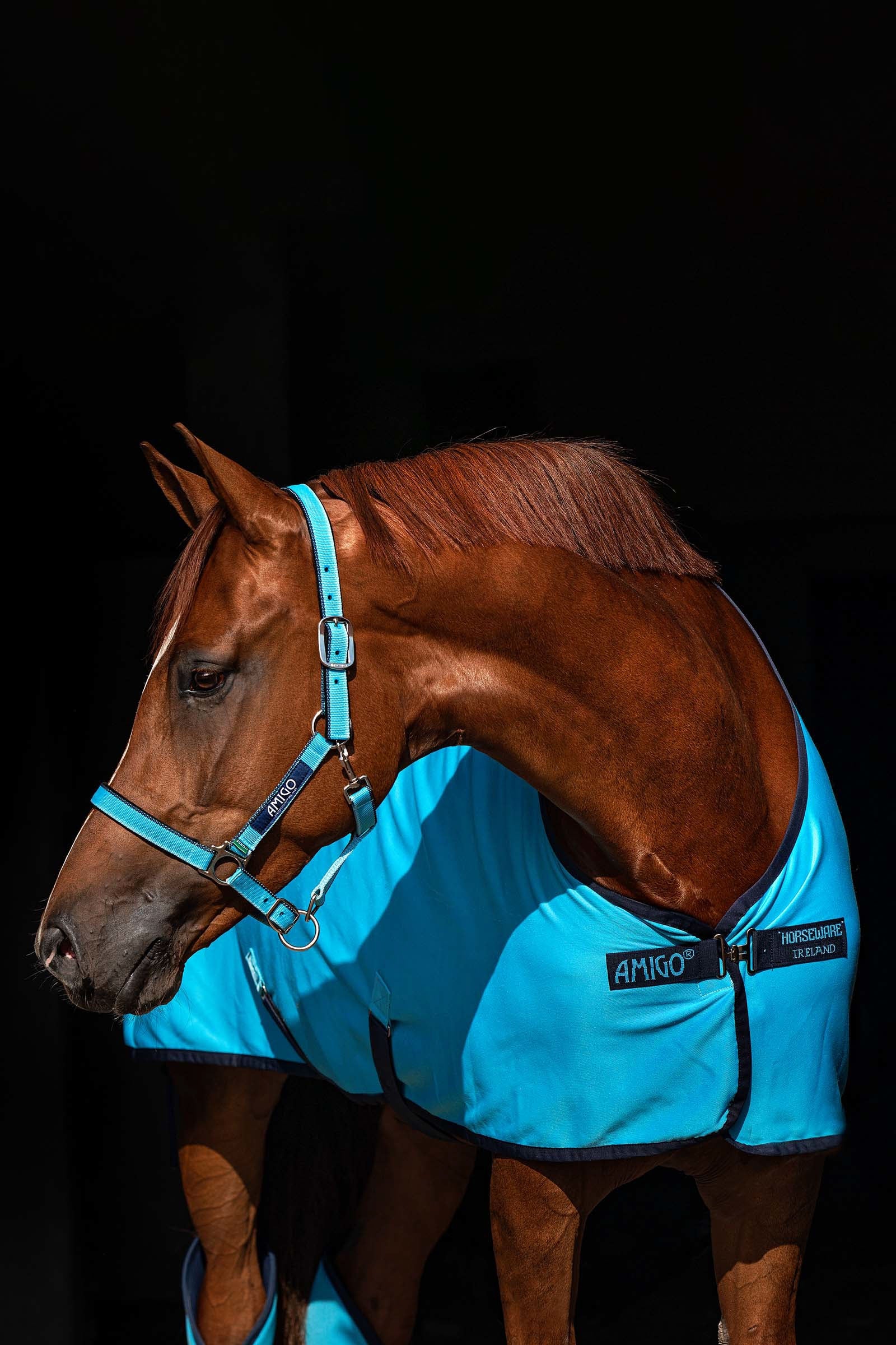Horseware Amigo grime Grimer og leietau