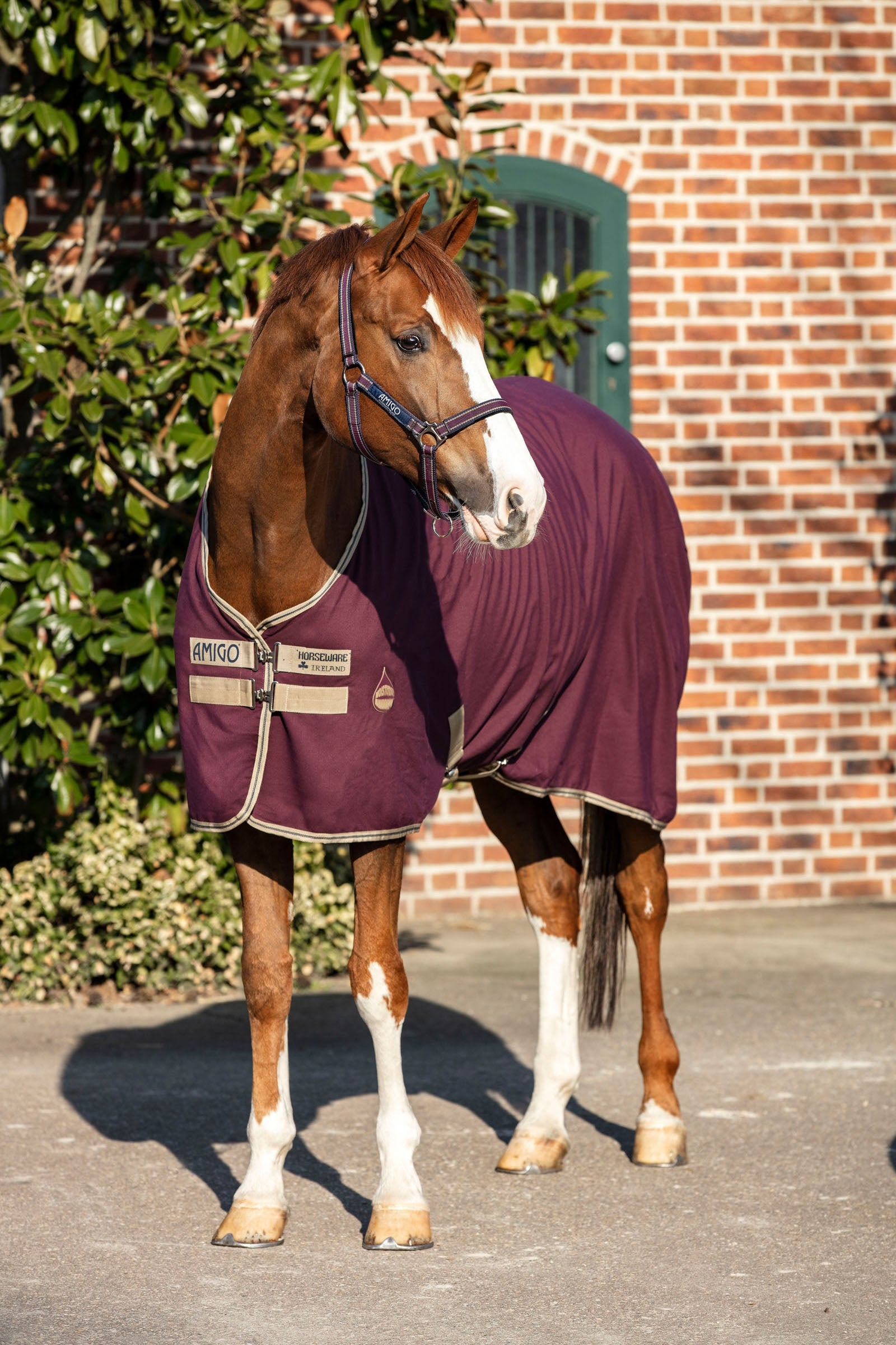 Horseware Amigo Stalldekken, 0g Dekken