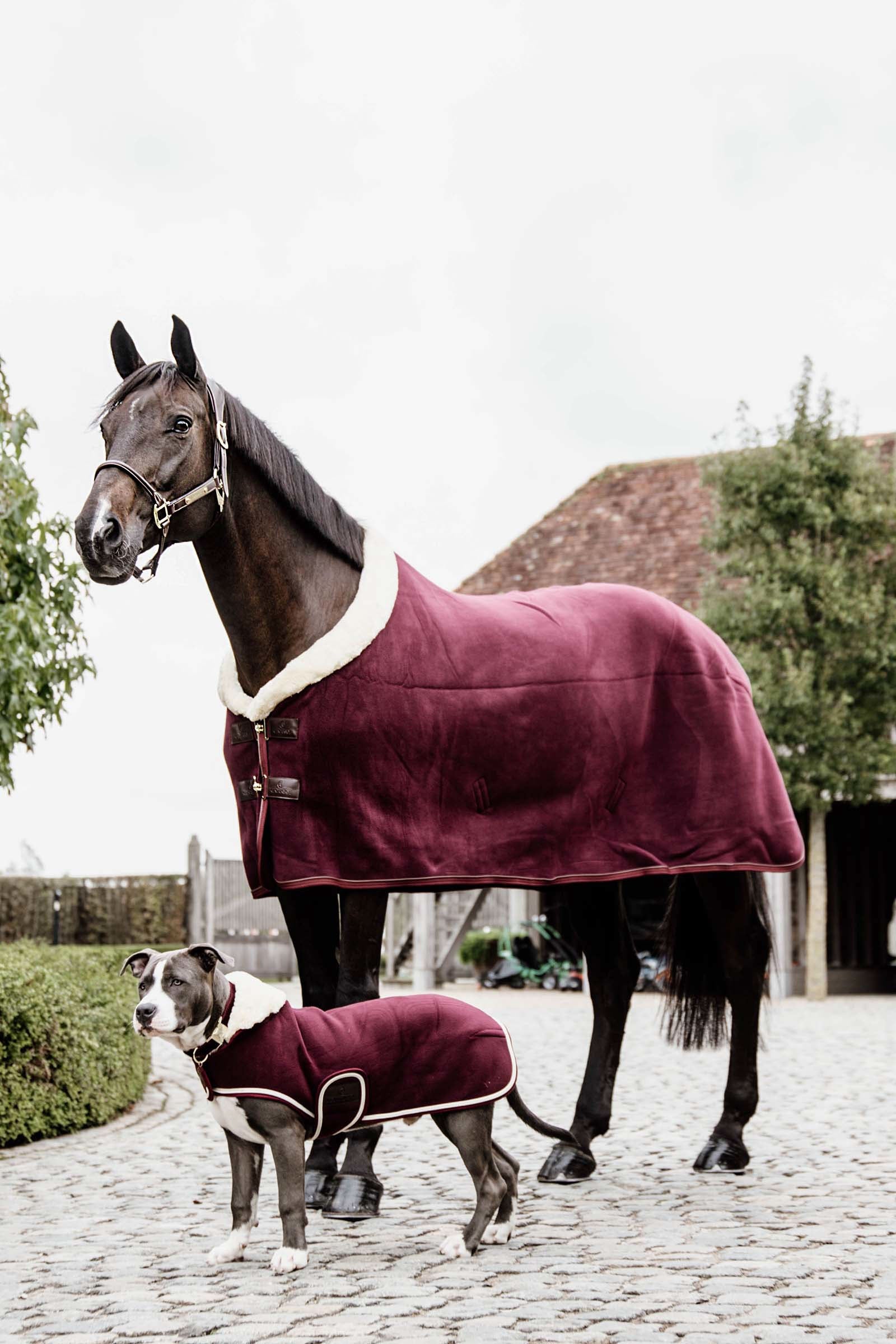 Kentucky Horsewear Fleece Show Rug Horse Rugs