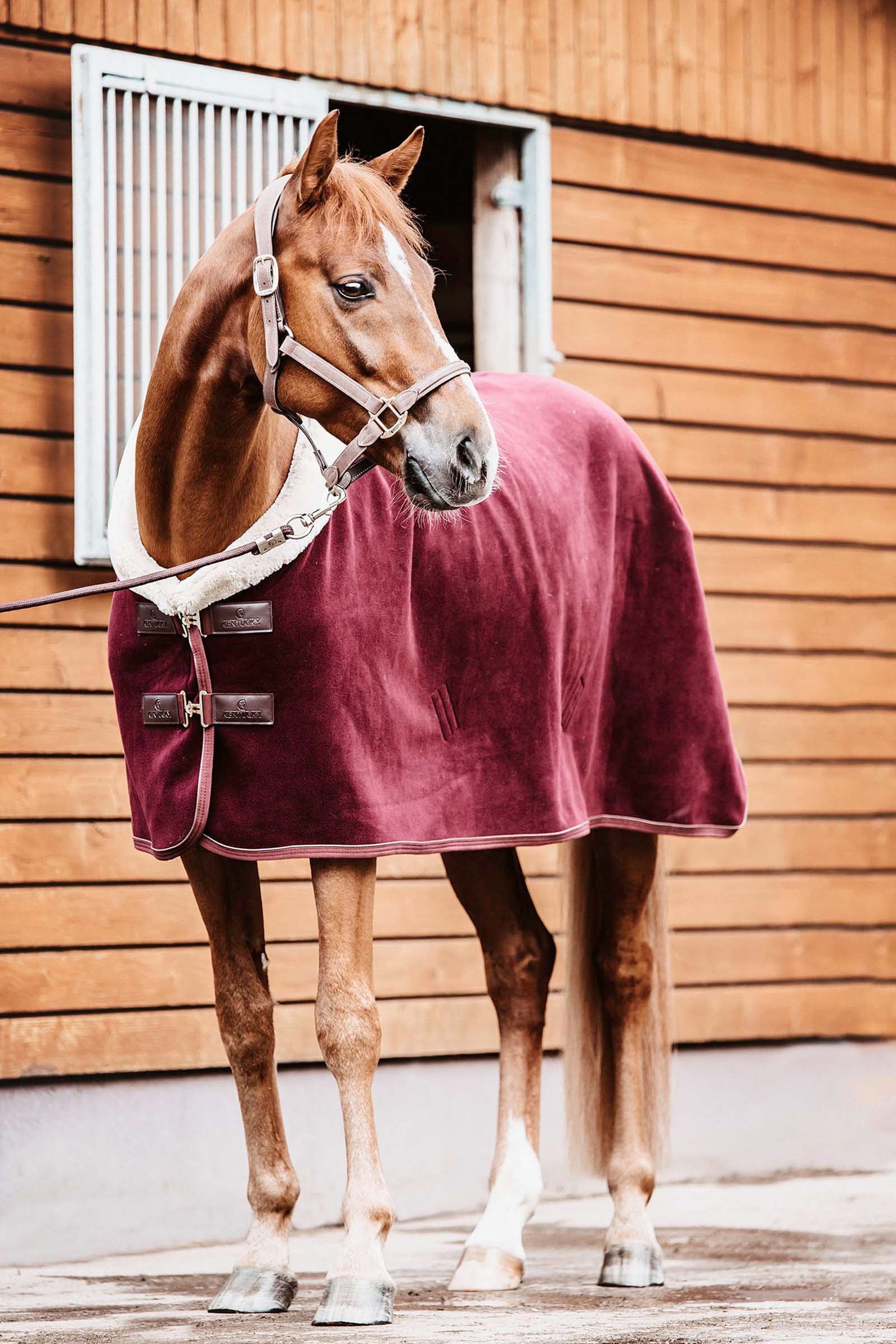 Kentucky Horsewear Fleece Show Rug Horse Rugs
