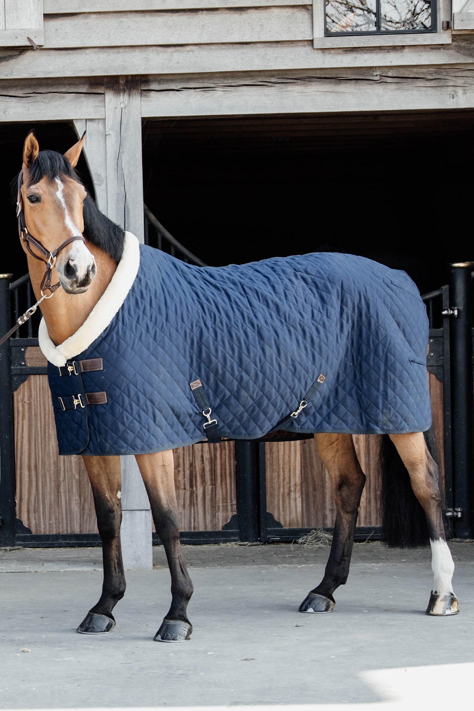 Kentucky Horsewear stevnedekken, 160 gram Dekken
