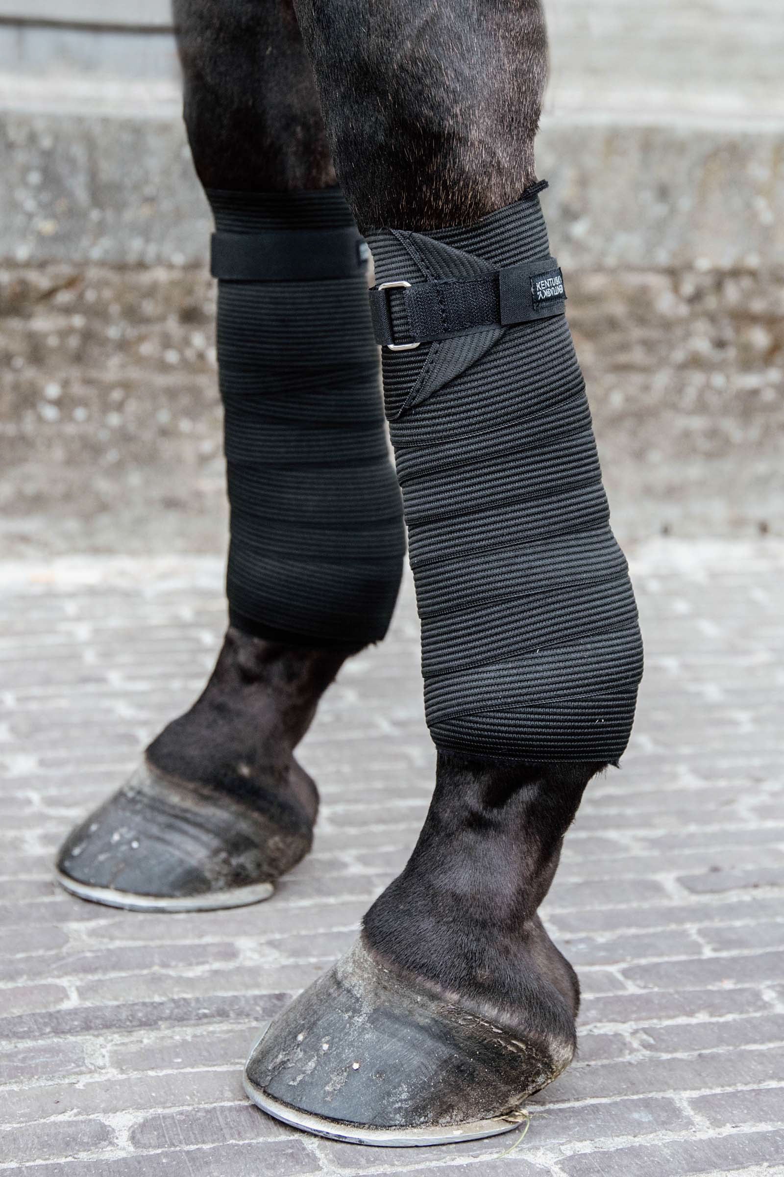 Kentucky Horsewear fleece & elastisk bandasje Leg Protection & Hoof Protection for Horses