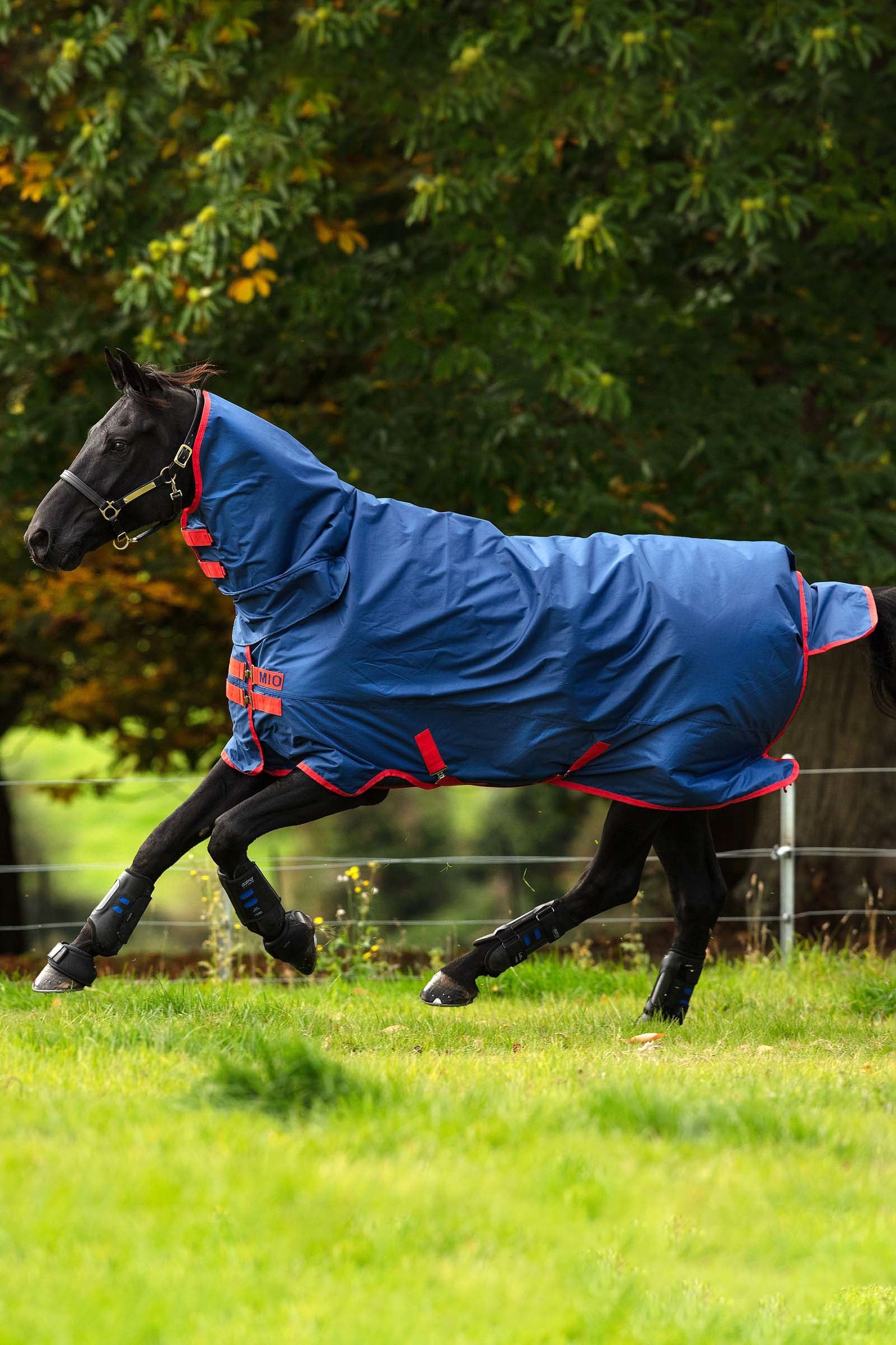 Horseware Mio hals og dekken i en del 350g Dekken