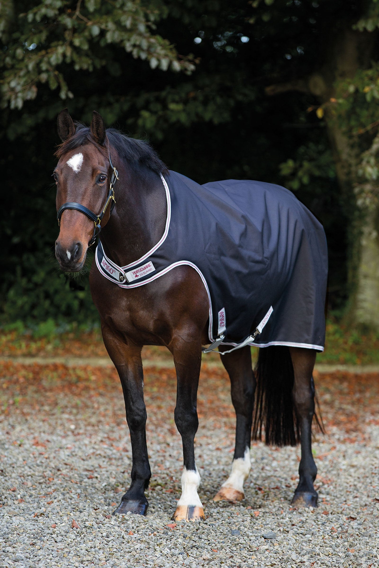 Horseware Amigo walker-dekken, 100g Dekken