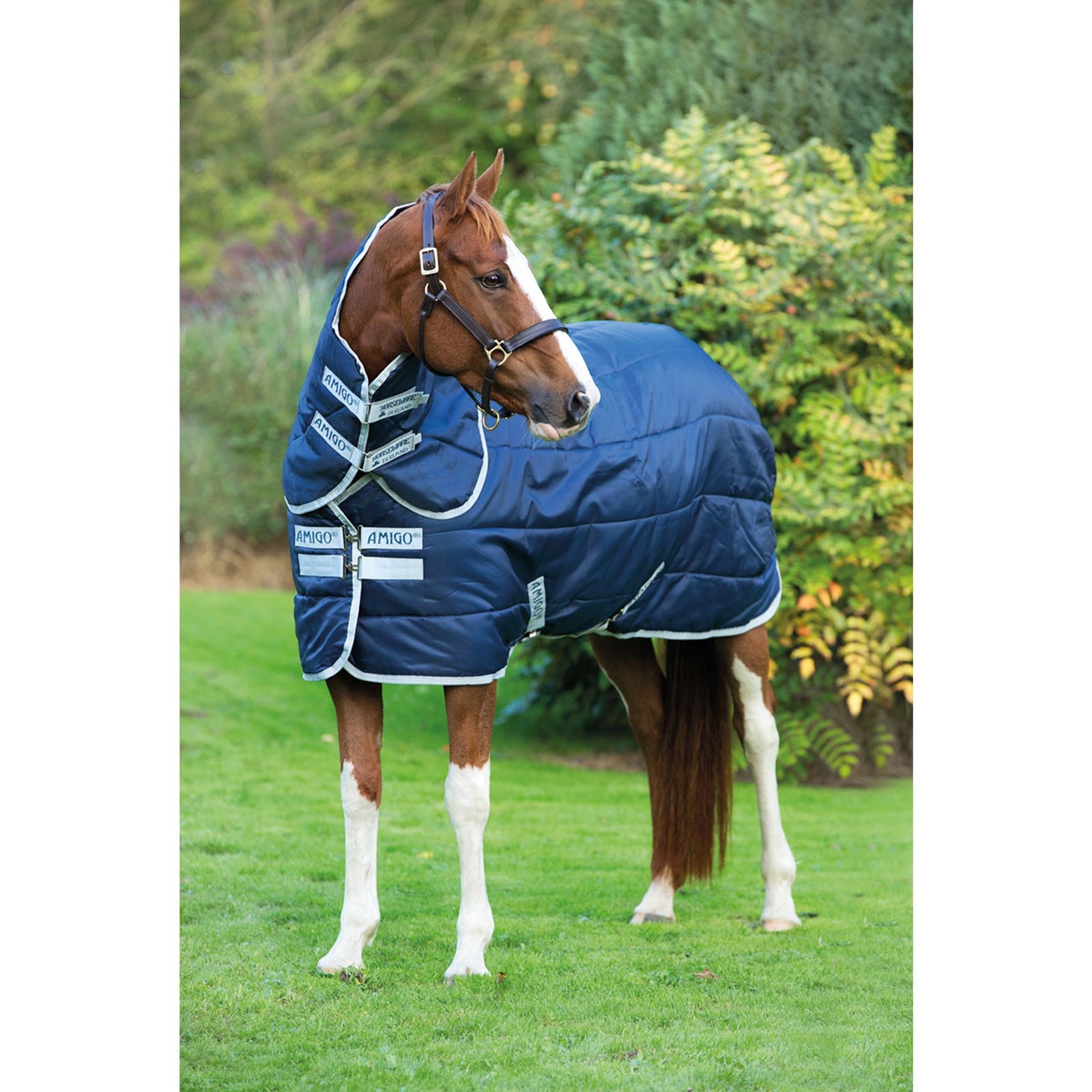 Horseware Amigo Insulator Plus Stalldekken med avtagbar hals, 200g Dekken