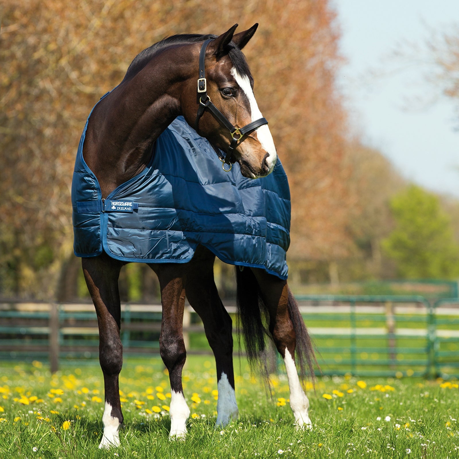 Horseware innerdekken 300 g Dekken