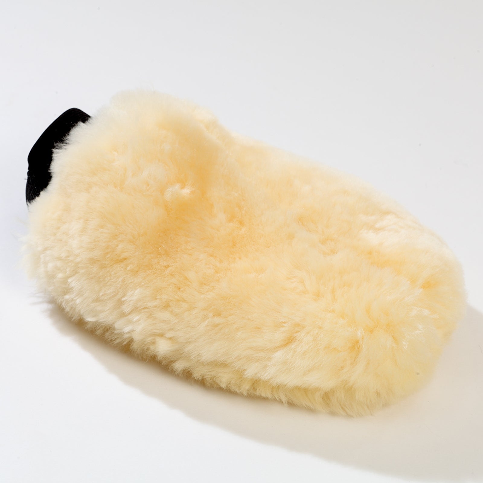 Kavalkade stellevott Strigleutstyr