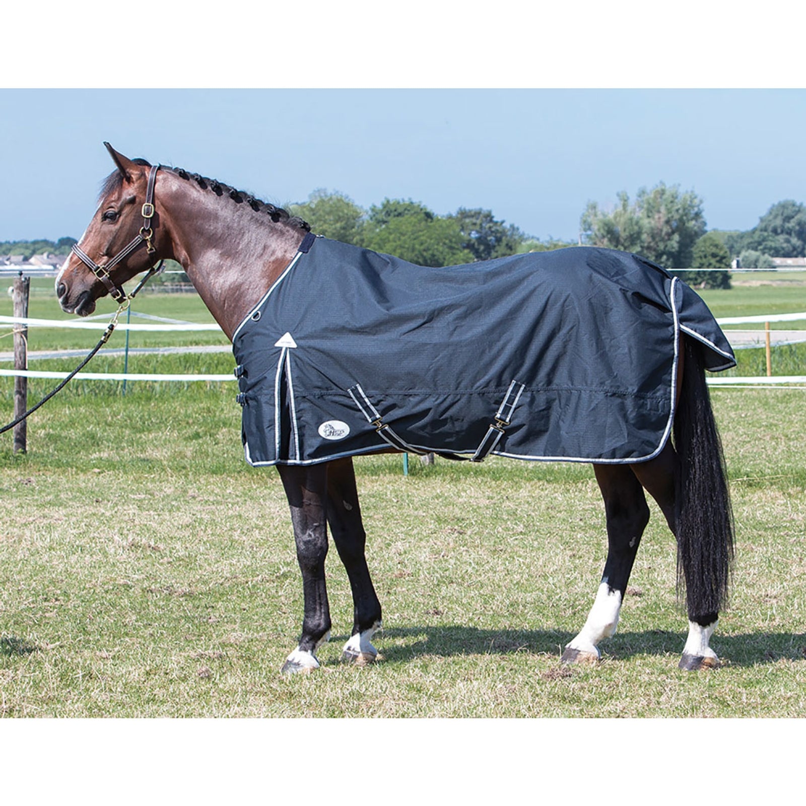 Harry's Horse Ebony Thor dekken 0 gr, TC fôr Dekken
