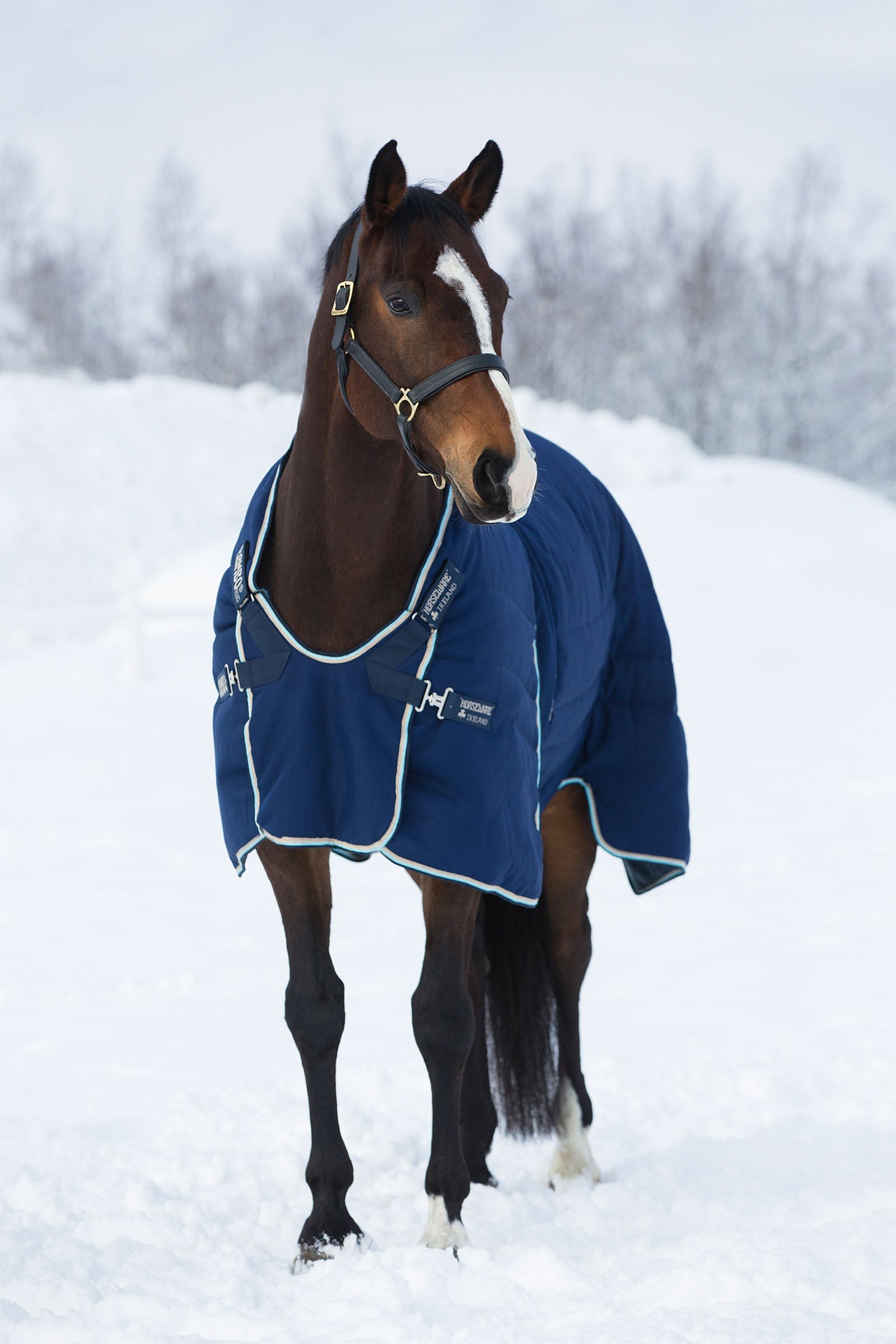 Horseware Rambo Optimo stalldekken 400 g Dekken