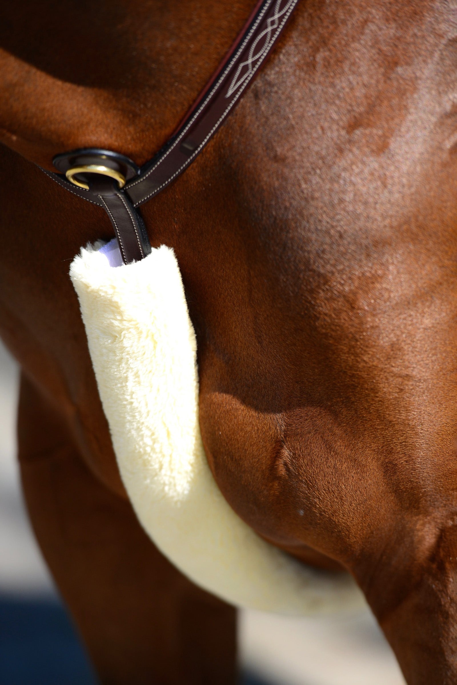 Kentucky Horsewear saueskinnsbeskyttelse til fortøy Hodelag & Tøyler