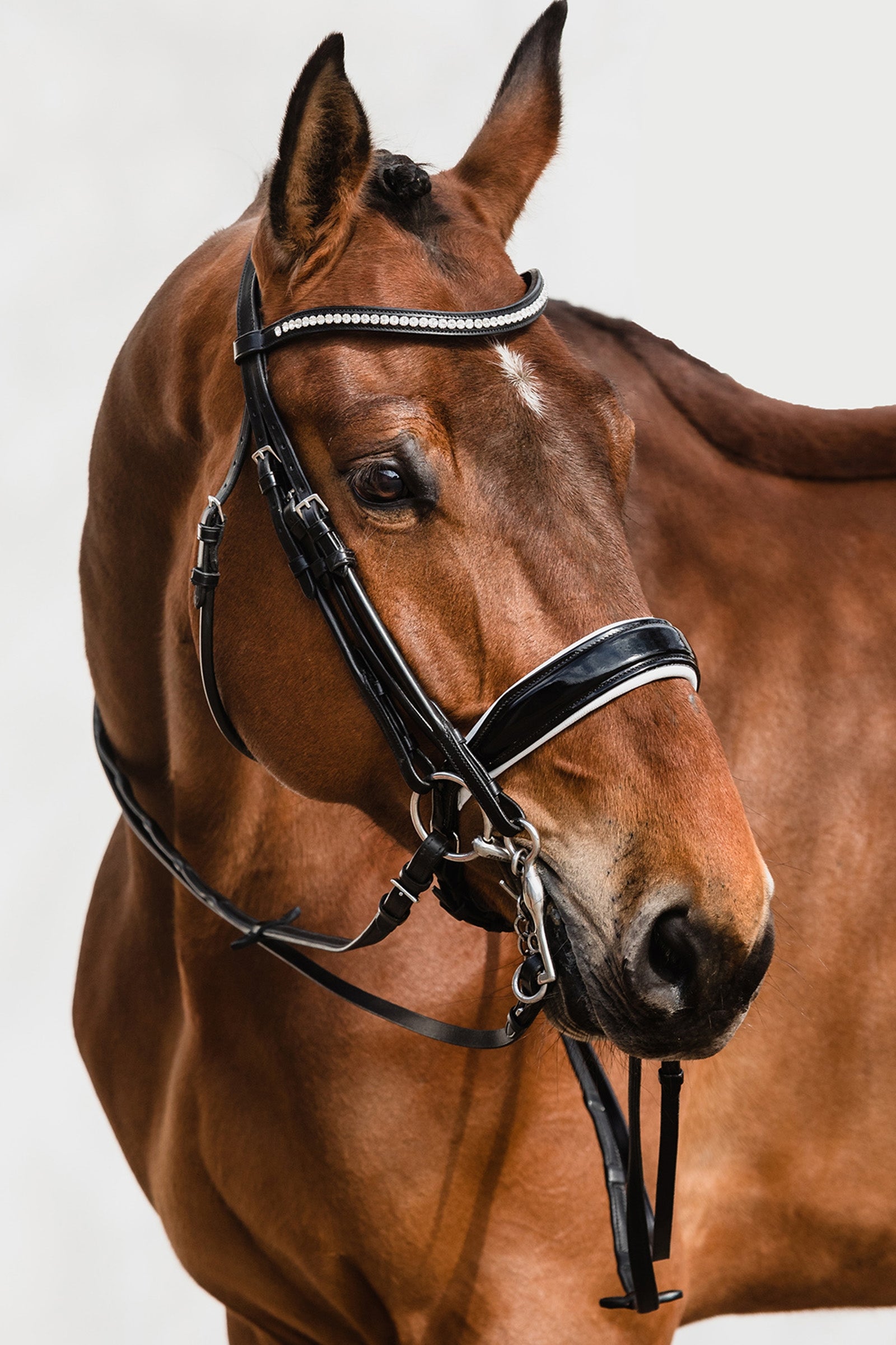 Schockemöhle Sports Venice Double Bridle Bridles & Reins