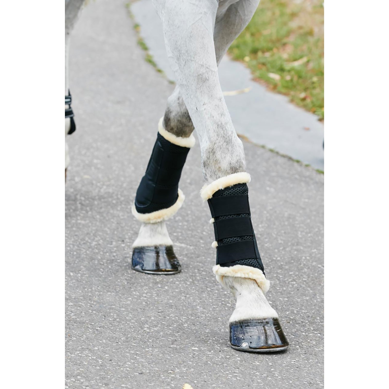 Weatherbeeta senebelegg med ekte ullfôr Leg Protection & Hoof Protection for Horses