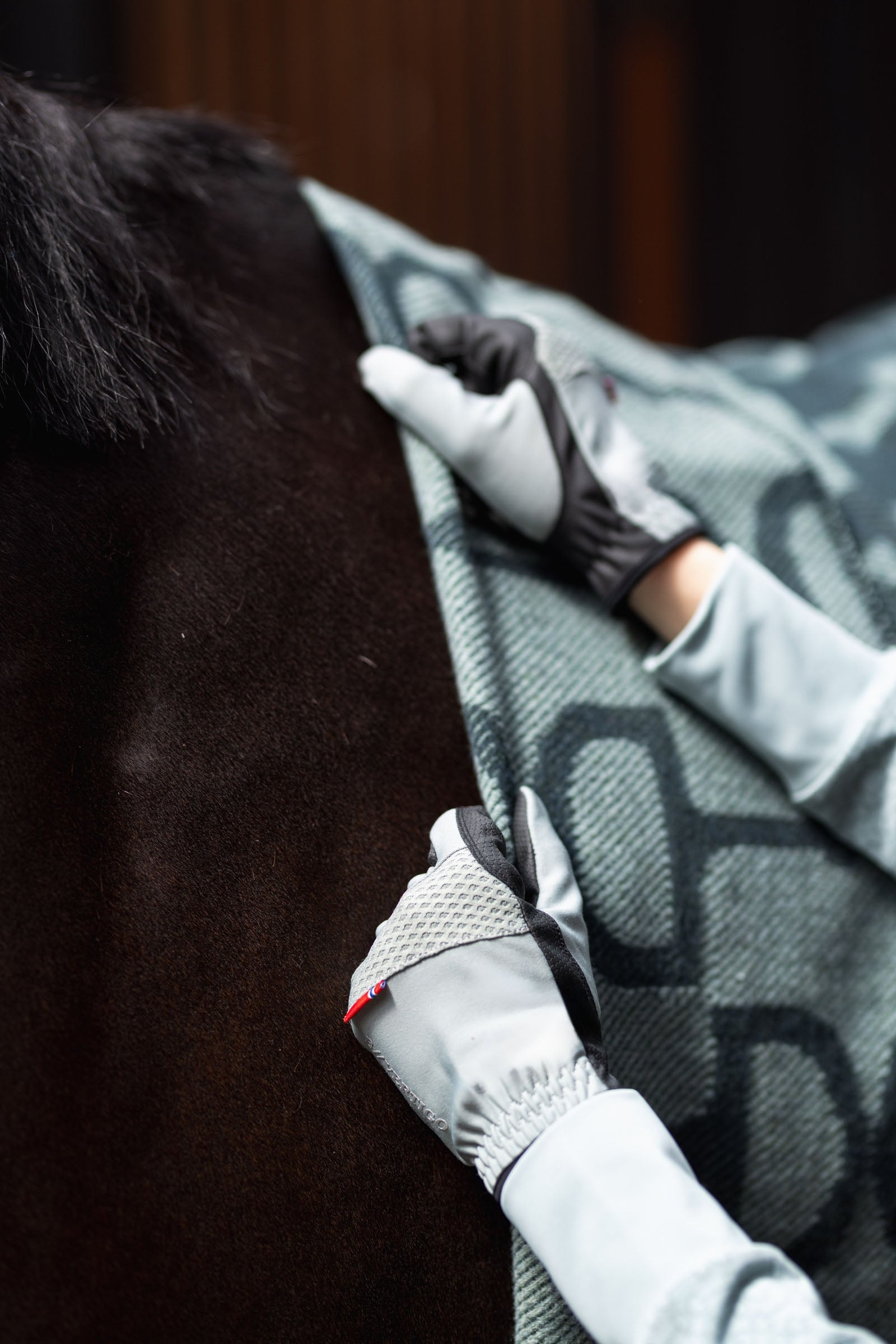 B Vertigo Renee All Season Riding Gloves Riding Gloves