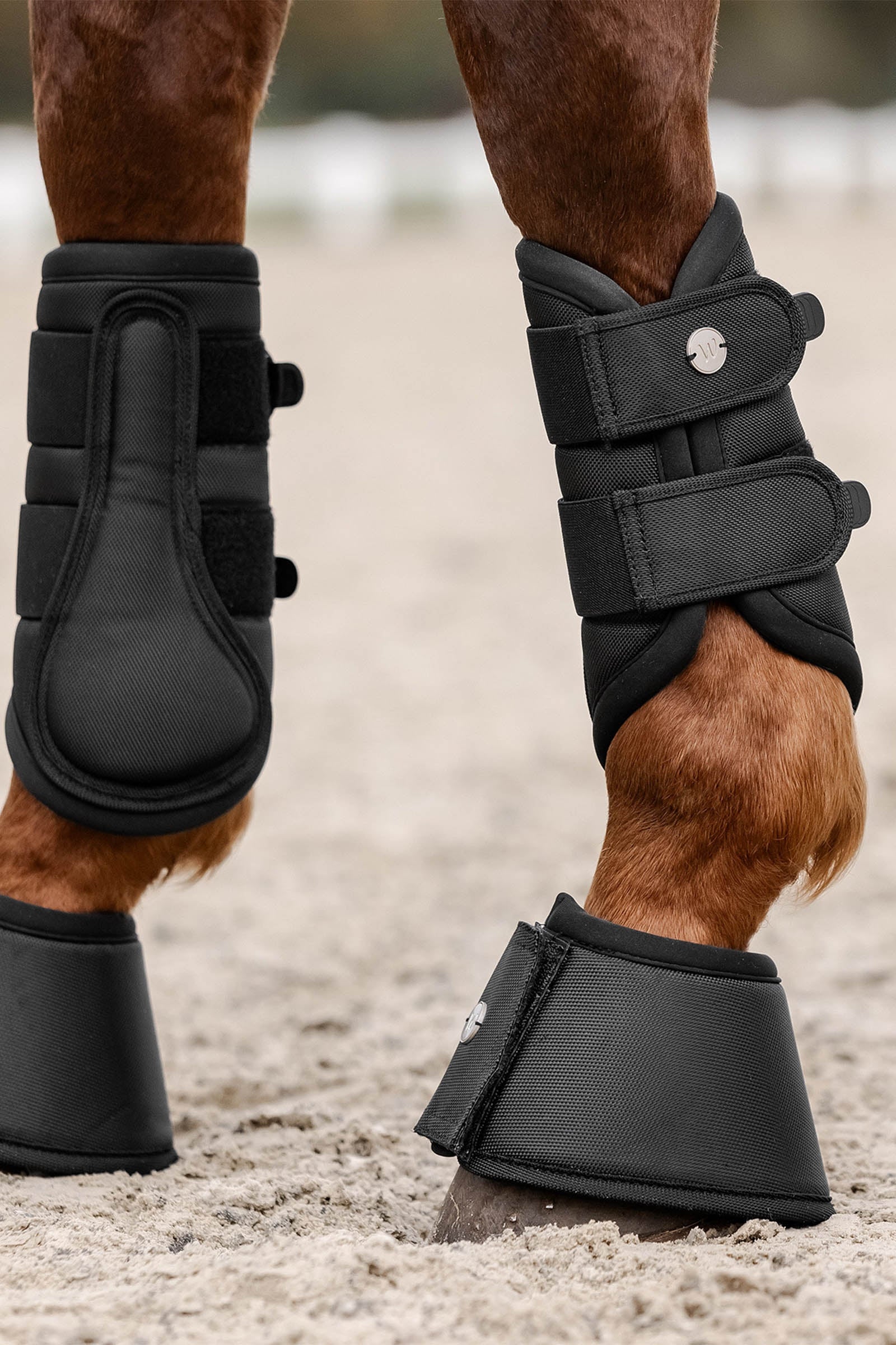 Waldhausen Comfort Fit Bell Boots Leg Protection & Hoof Protection for Horses