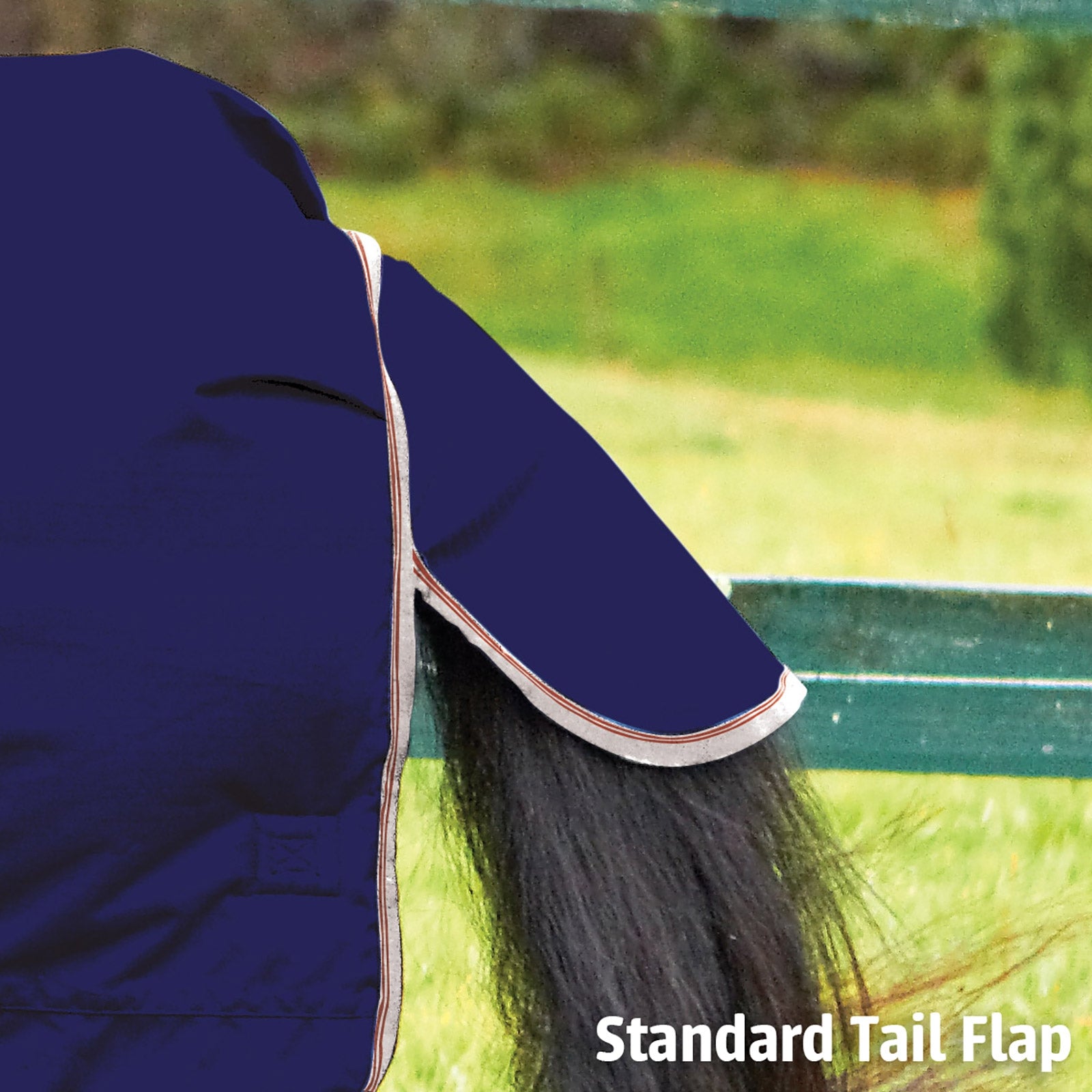 Weatherbeeta Comfitec Essential Turnout Rug with Fixed Neck, 0g Horse Rugs