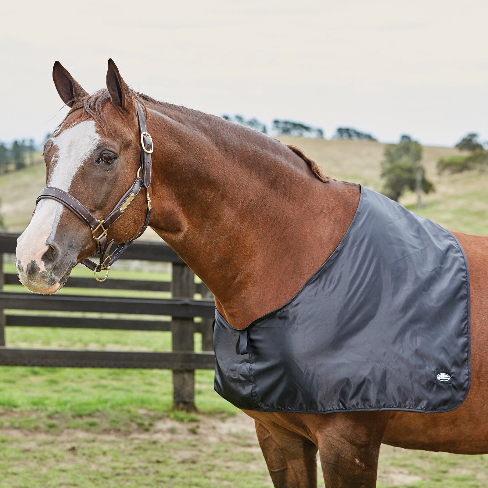 Weatherbeeta Satin Shoulder Guard Horse Rugs