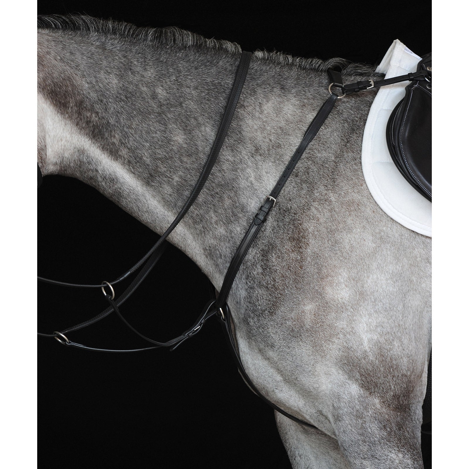 Collegiate Hunter fortøy IV Hodelag & Tøyler