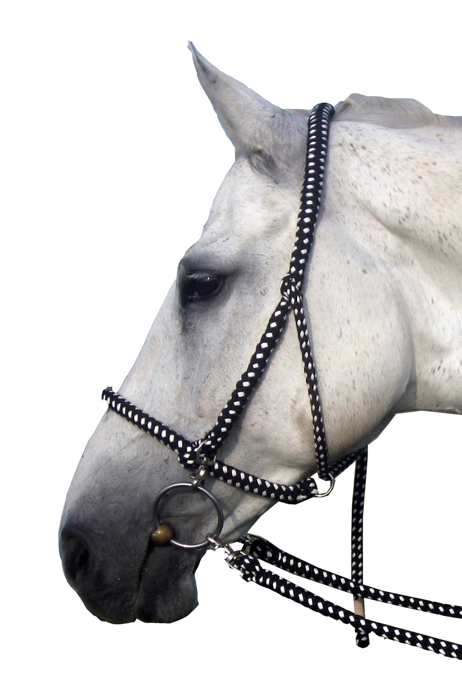 F.R.A. Freedom Riding Articles Gregor gime/hodelag inkludert bomullstøyler Grimer og leietau