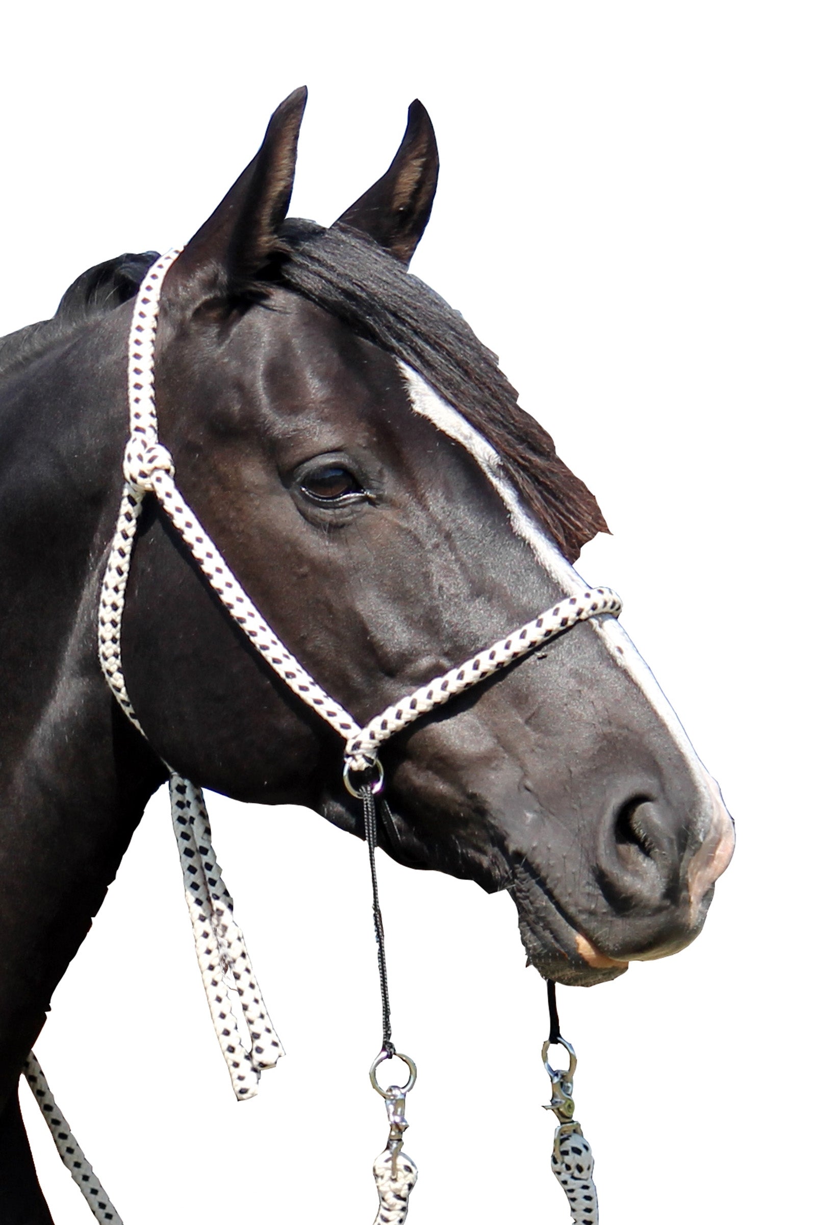 F.R.A. Freedom Riding Articles Nanouk bitless bridle (system 4) bomull med klipstøyler Hodelag & Tøyler