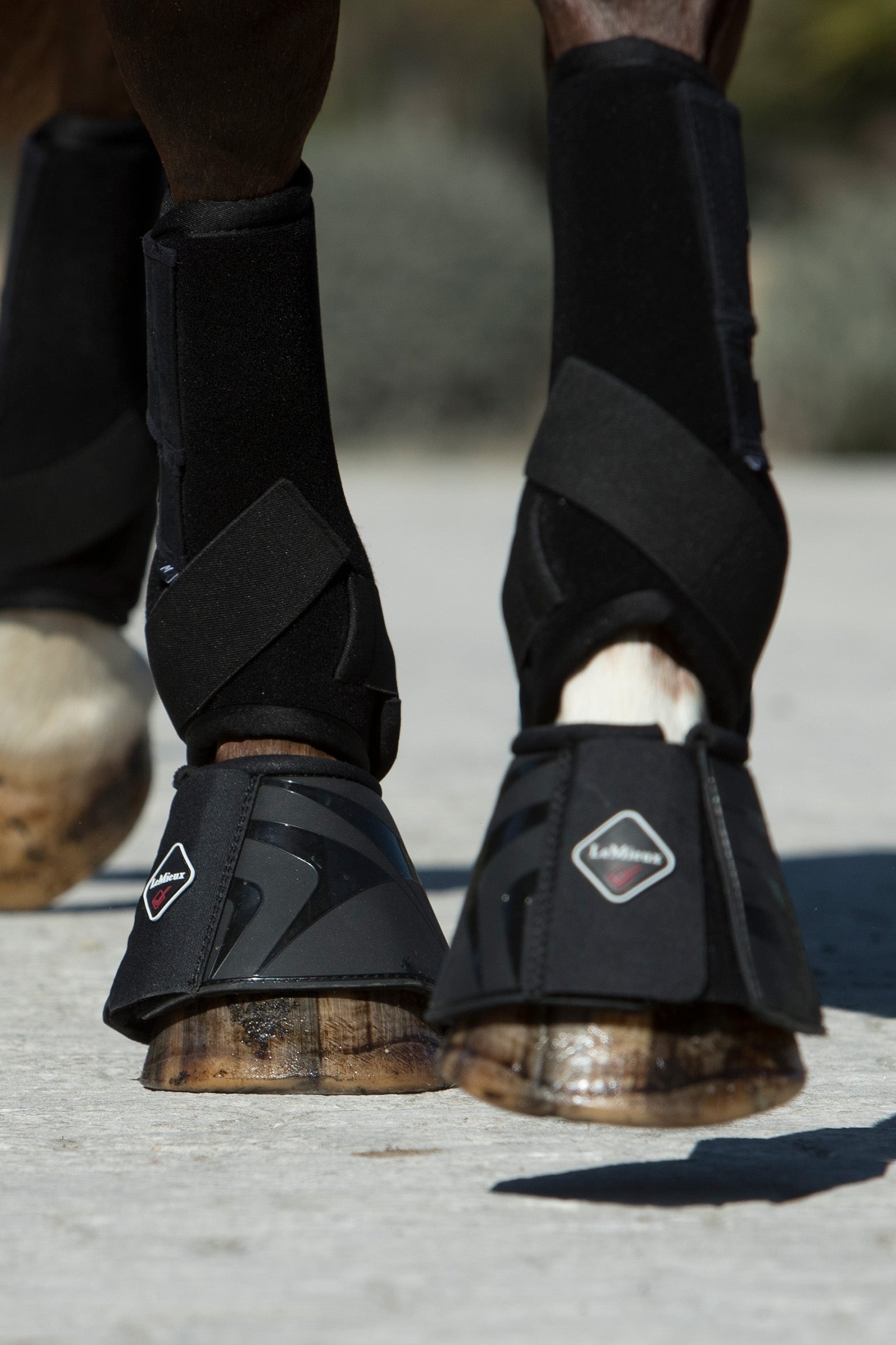 LeMieux ProShell kopper Leg Protection & Hoof Protection for Horses