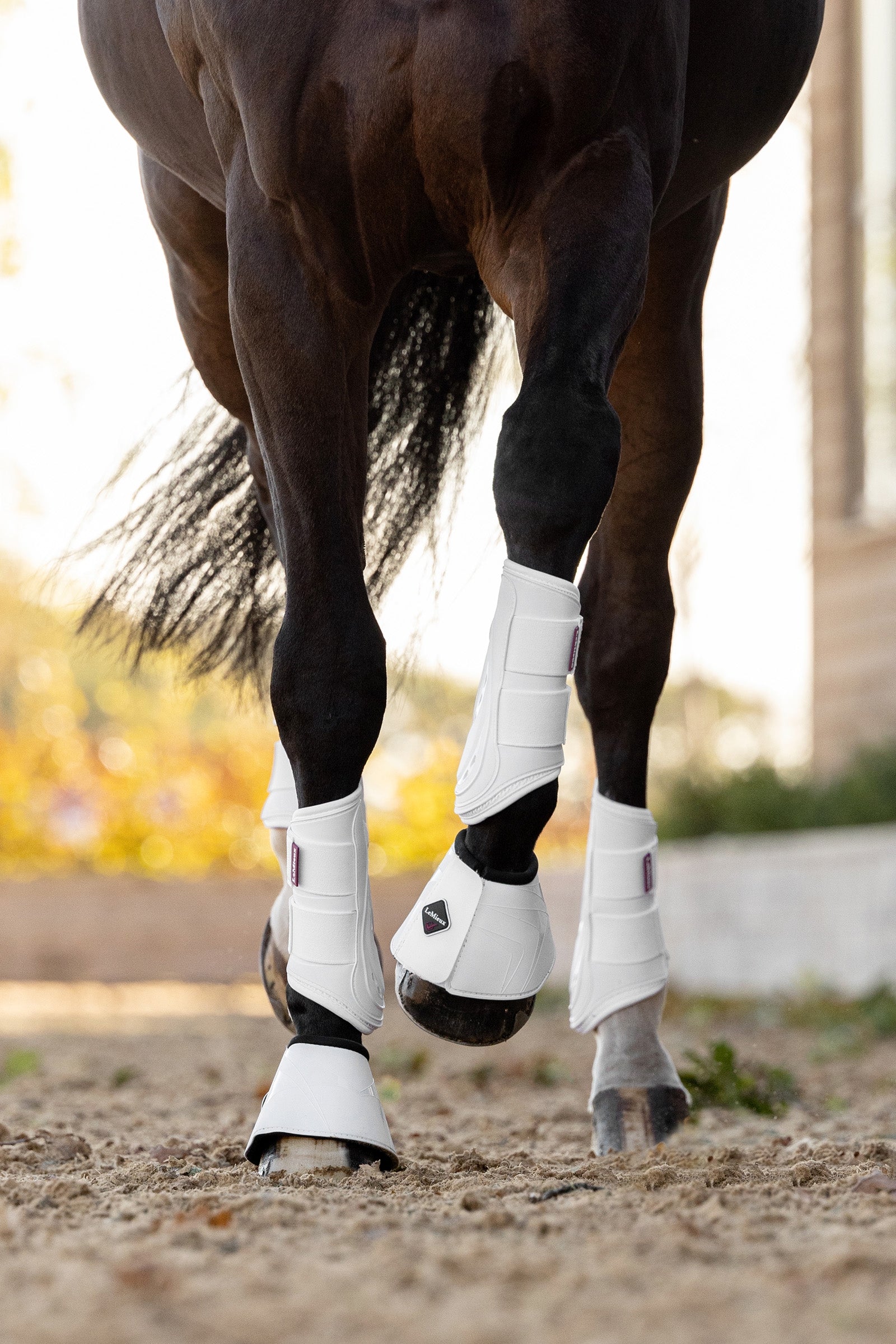 LeMieux ProShell kopper Leg Protection & Hoof Protection for Horses